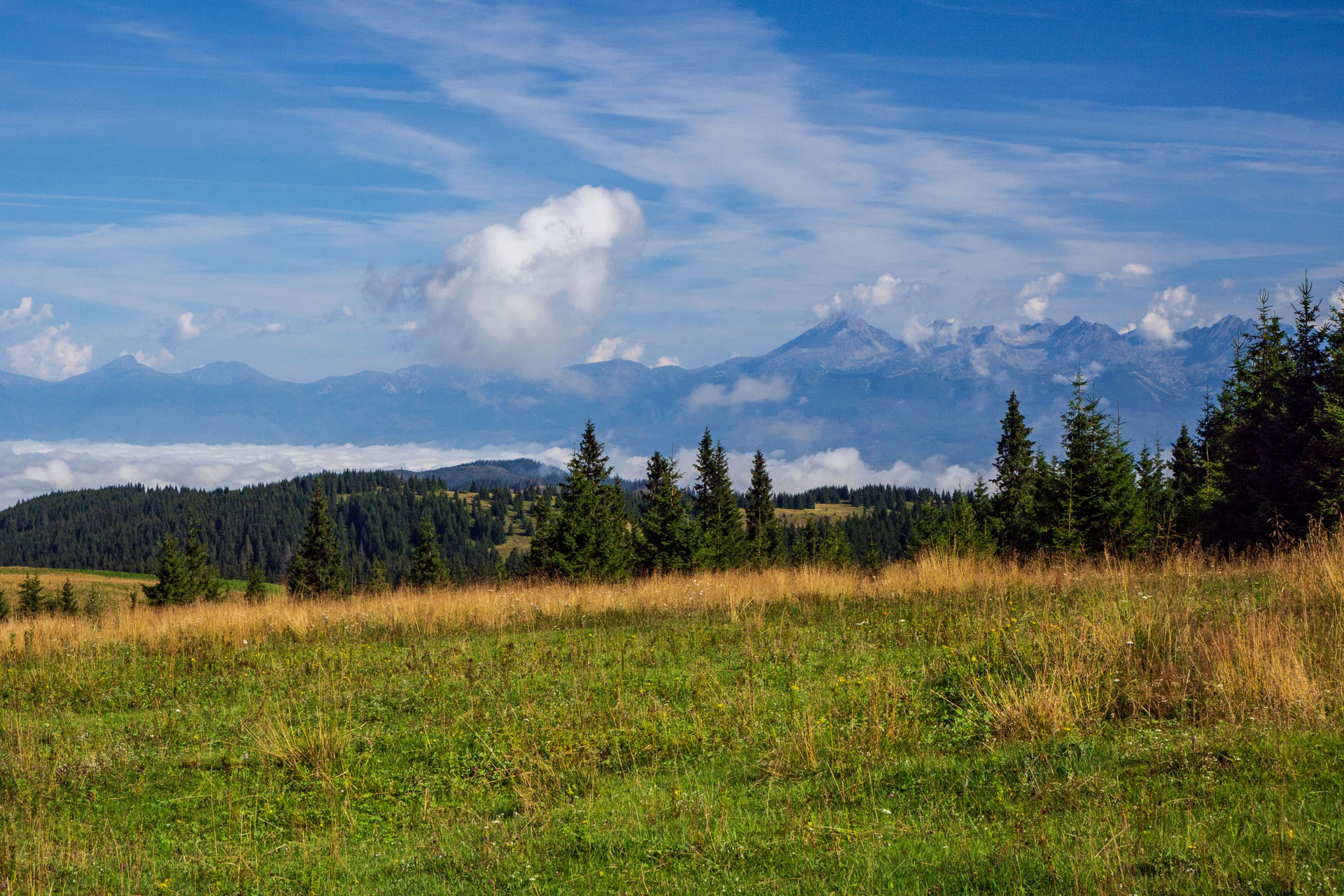 Čučoriedkový deň a Panská hoľa z Pred Soľankou (Nízke Tatry)