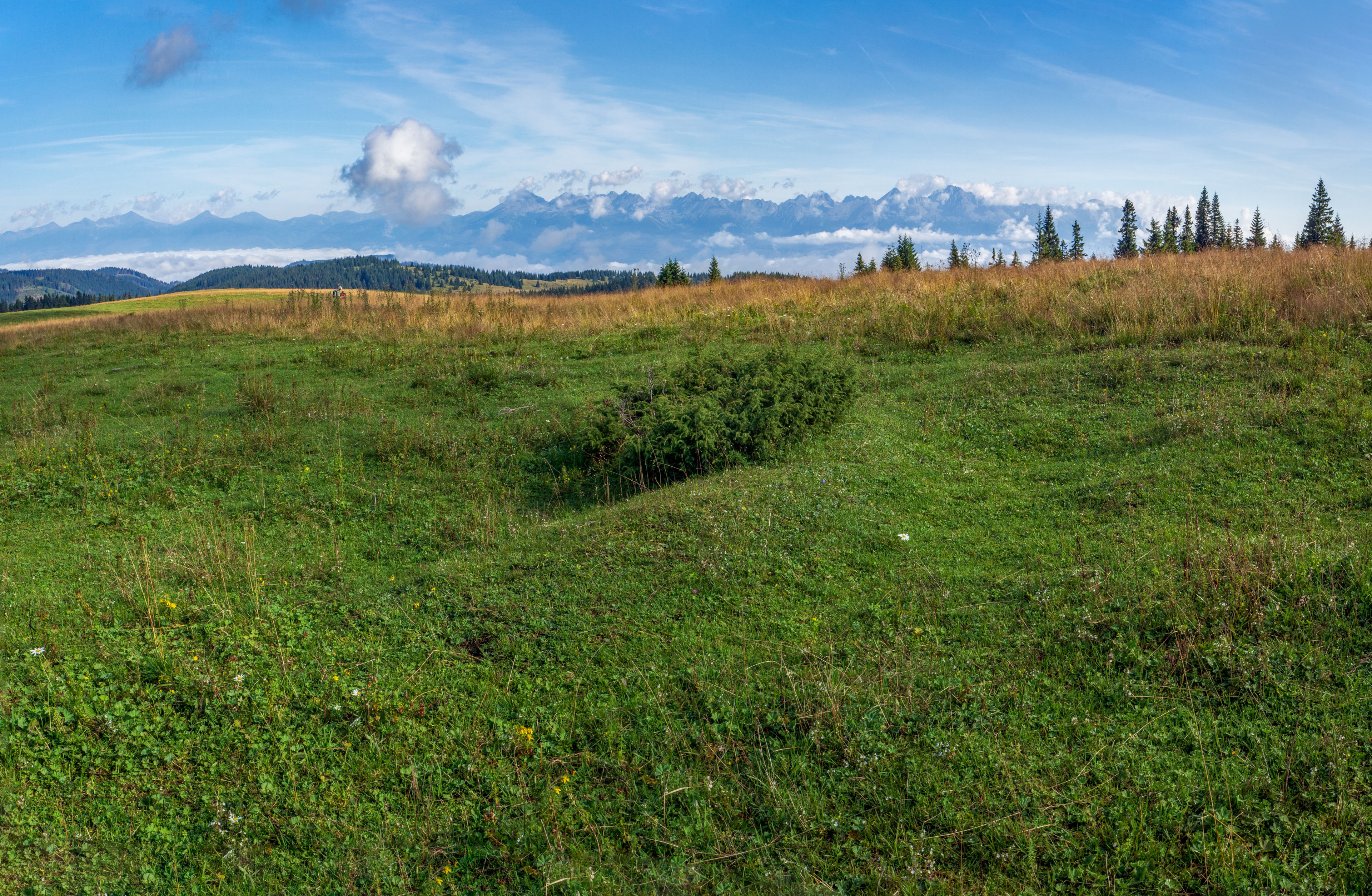 Čučoriedkový deň a Panská hoľa z Pred Soľankou (Nízke Tatry)