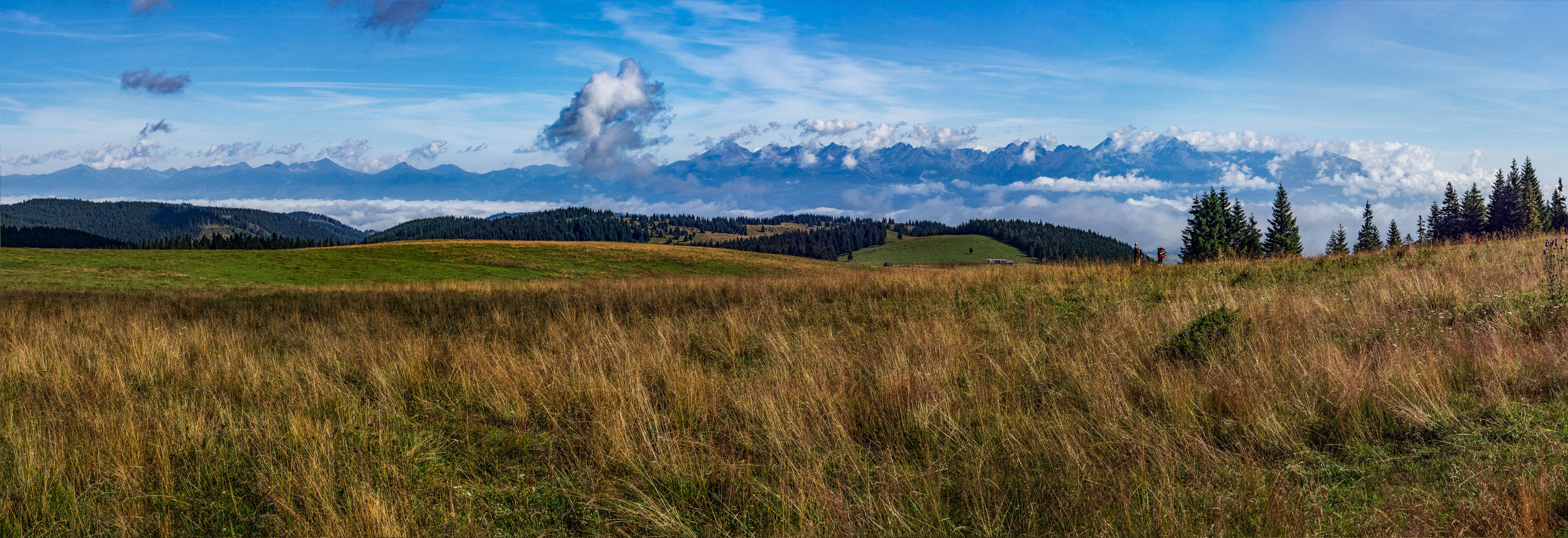 Čučoriedkový deň a Panská hoľa z Pred Soľankou (Nízke Tatry)