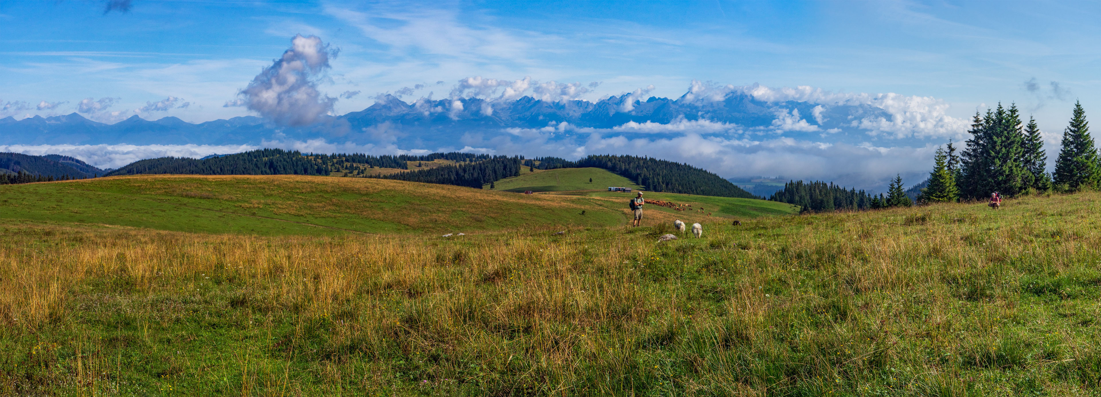 Čučoriedkový deň a Panská hoľa z Pred Soľankou (Nízke Tatry)