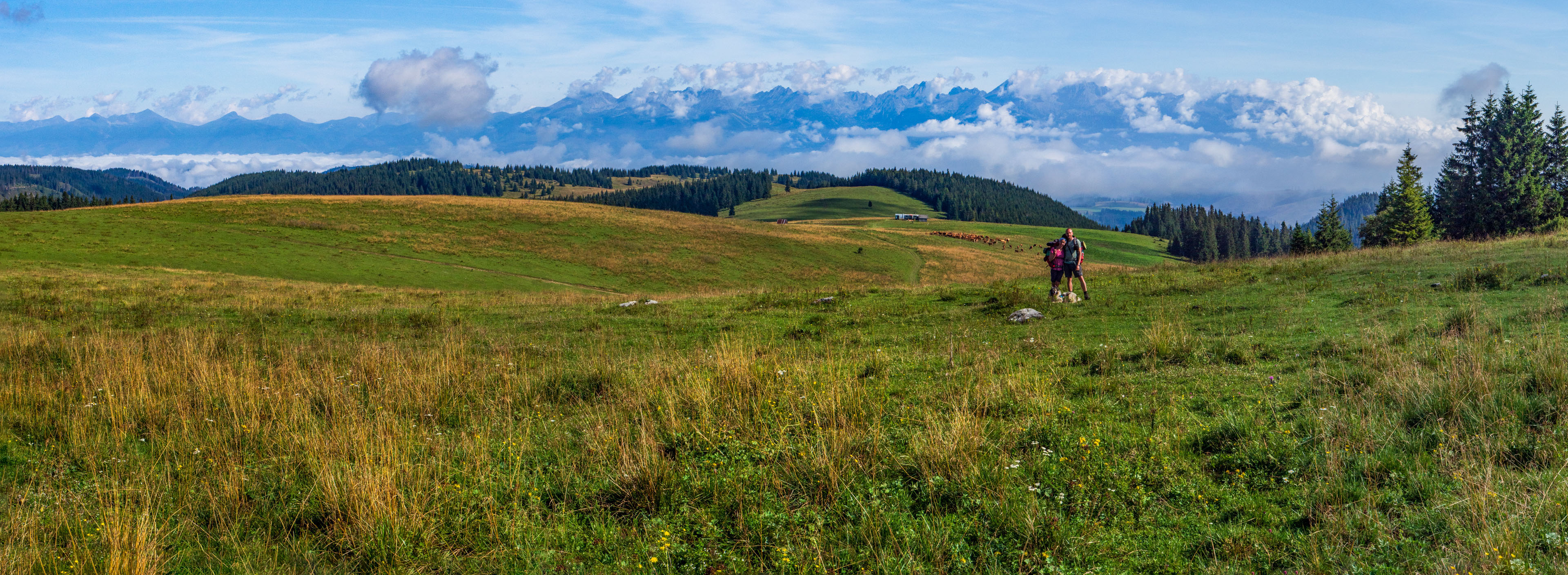 Čučoriedkový deň a Panská hoľa z Pred Soľankou (Nízke Tatry)