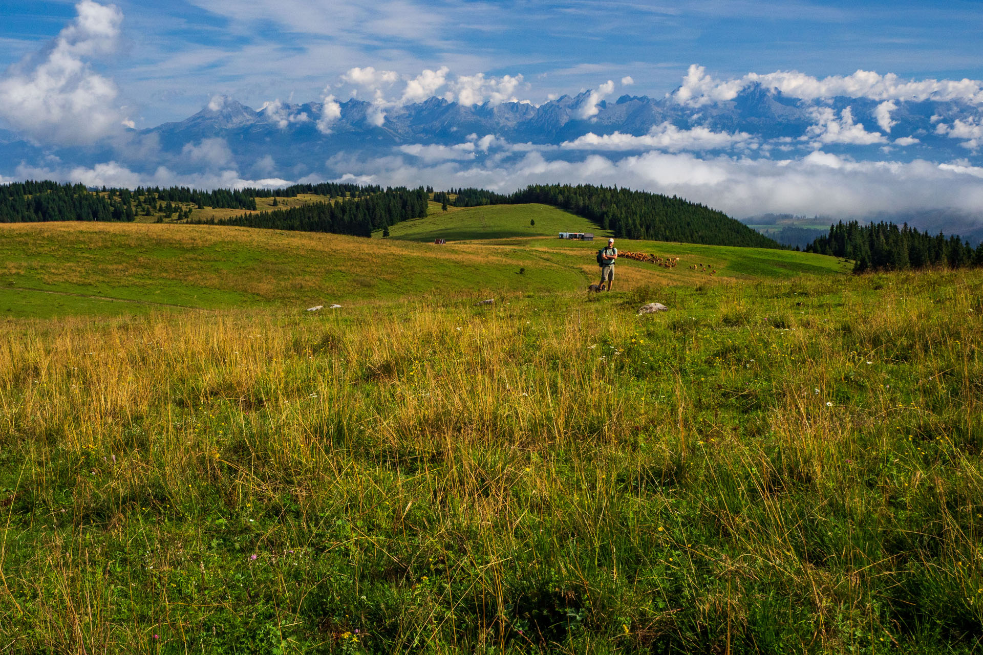 Čučoriedkový deň a Panská hoľa z Pred Soľankou (Nízke Tatry)