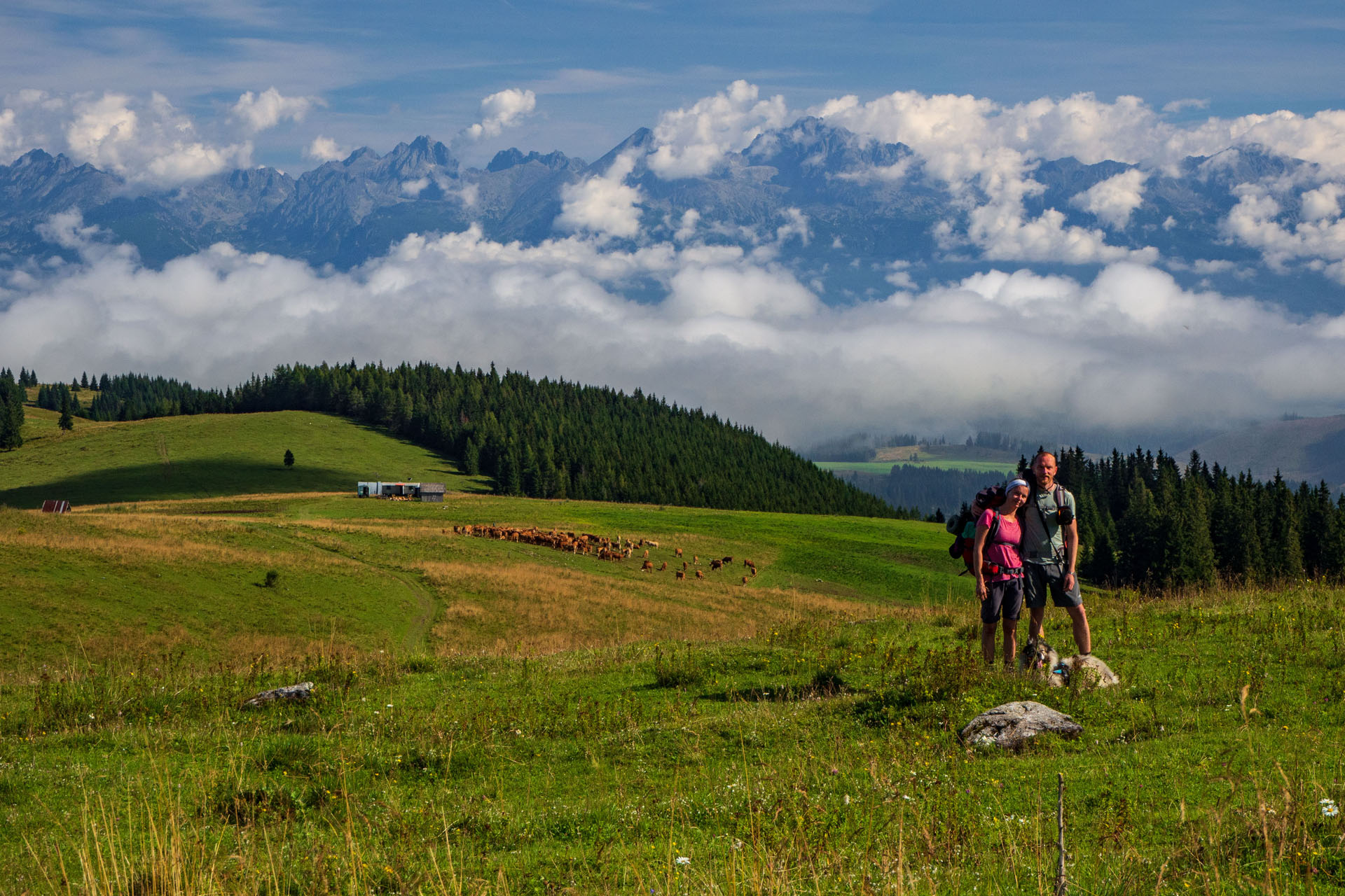 Čučoriedkový deň a Panská hoľa z Pred Soľankou (Nízke Tatry)