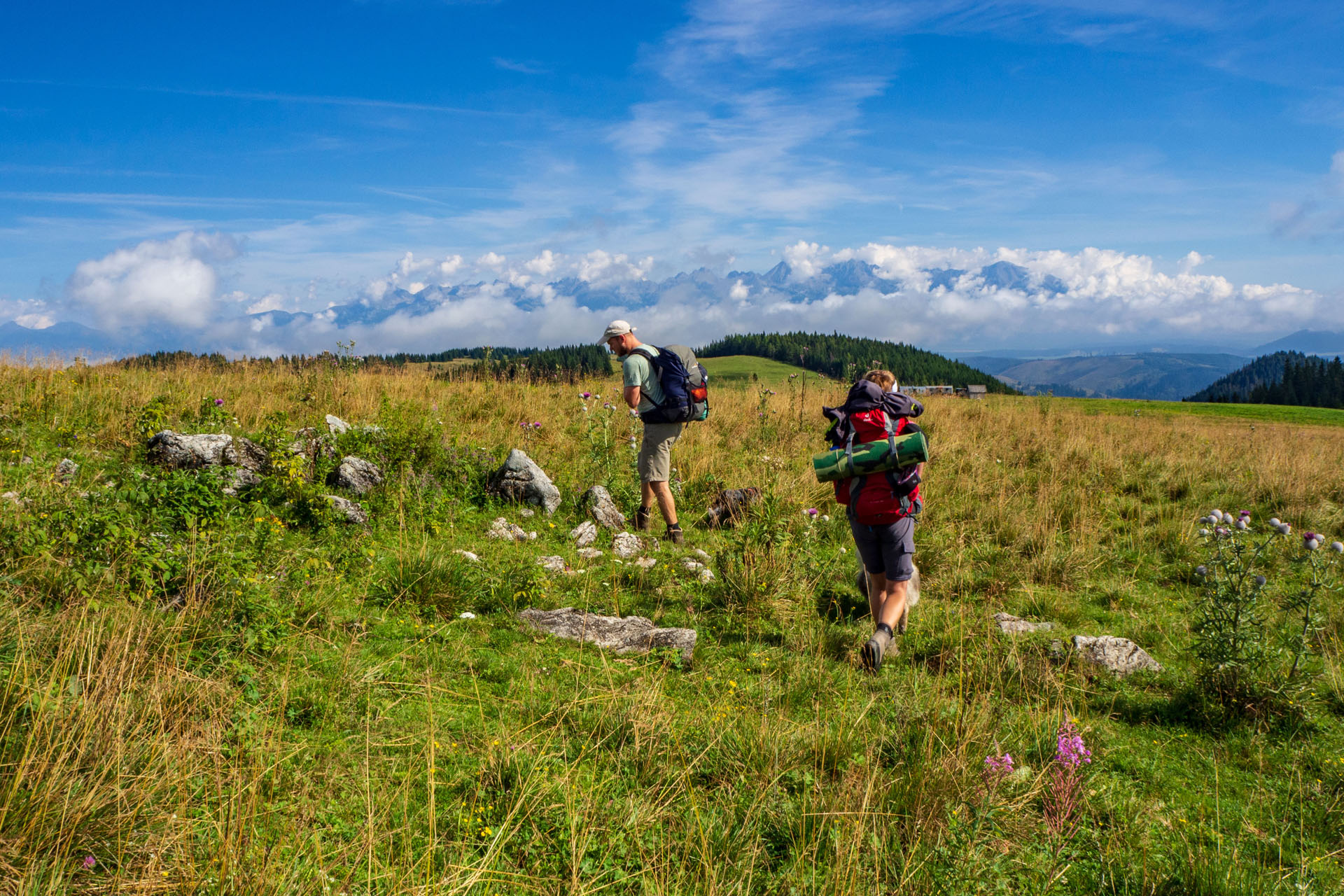 Čučoriedkový deň a Panská hoľa z Pred Soľankou (Nízke Tatry)