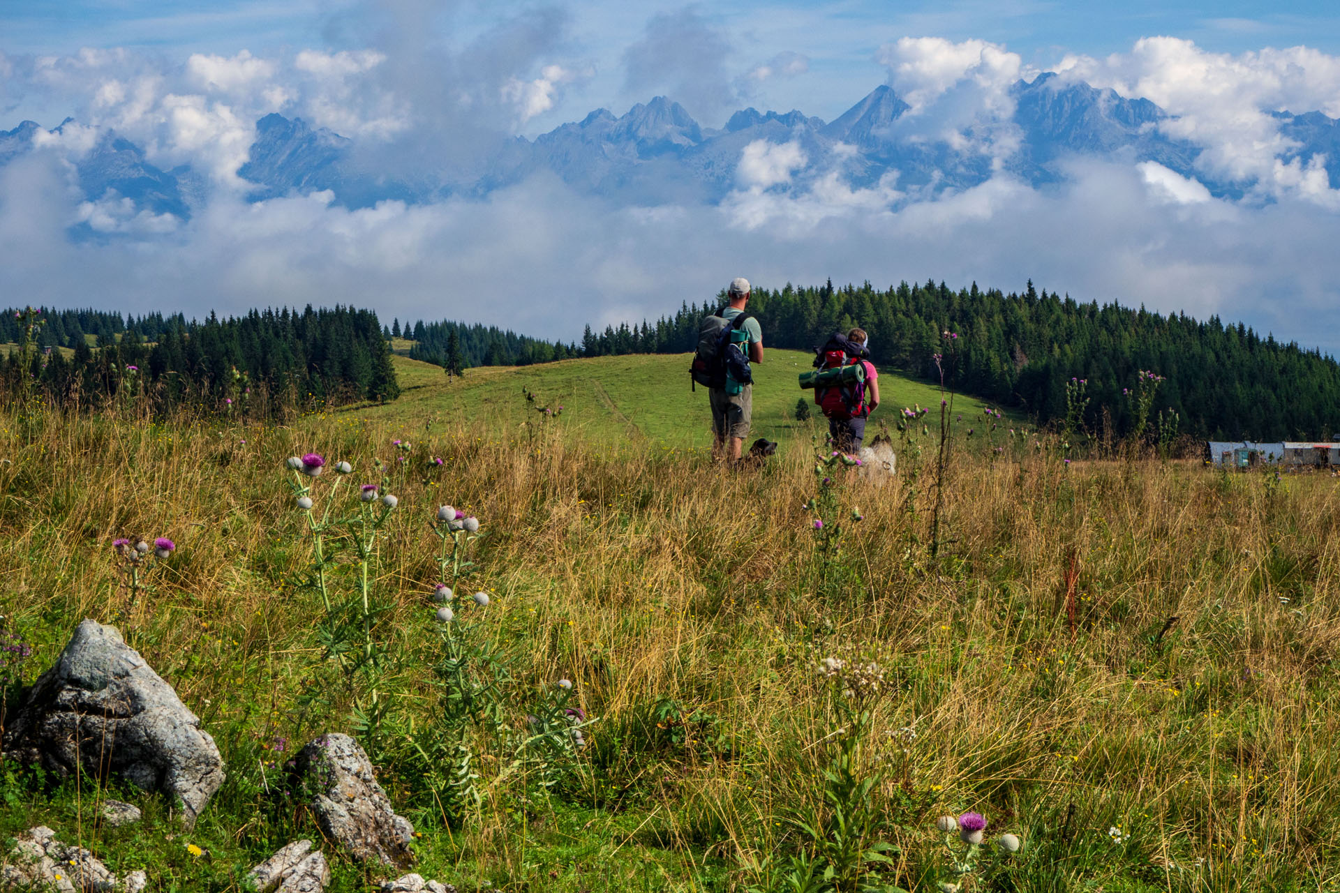 Čučoriedkový deň a Panská hoľa z Pred Soľankou (Nízke Tatry)