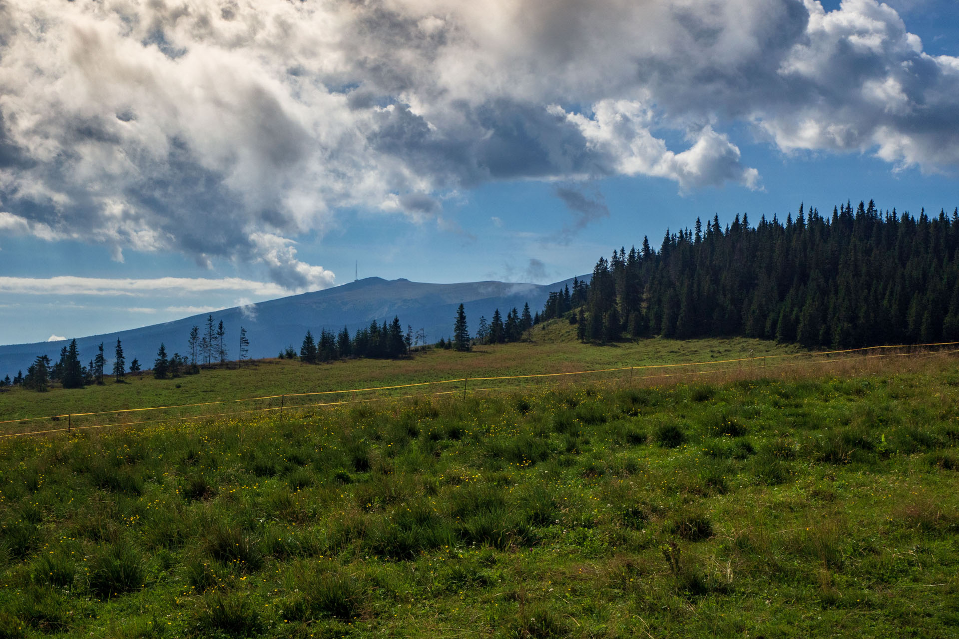 Čučoriedkový deň a Panská hoľa z Pred Soľankou (Nízke Tatry)