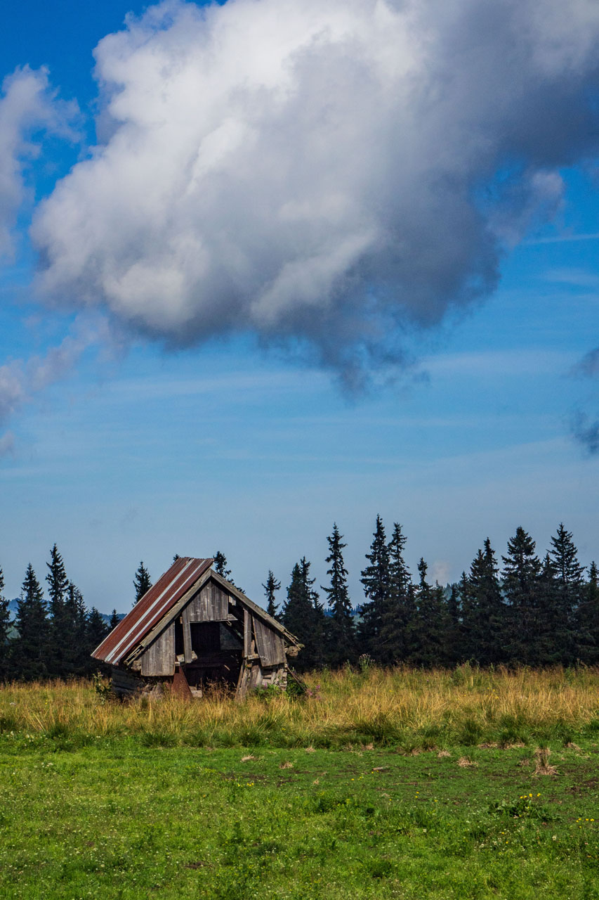 Čučoriedkový deň a Panská hoľa z Pred Soľankou (Nízke Tatry)