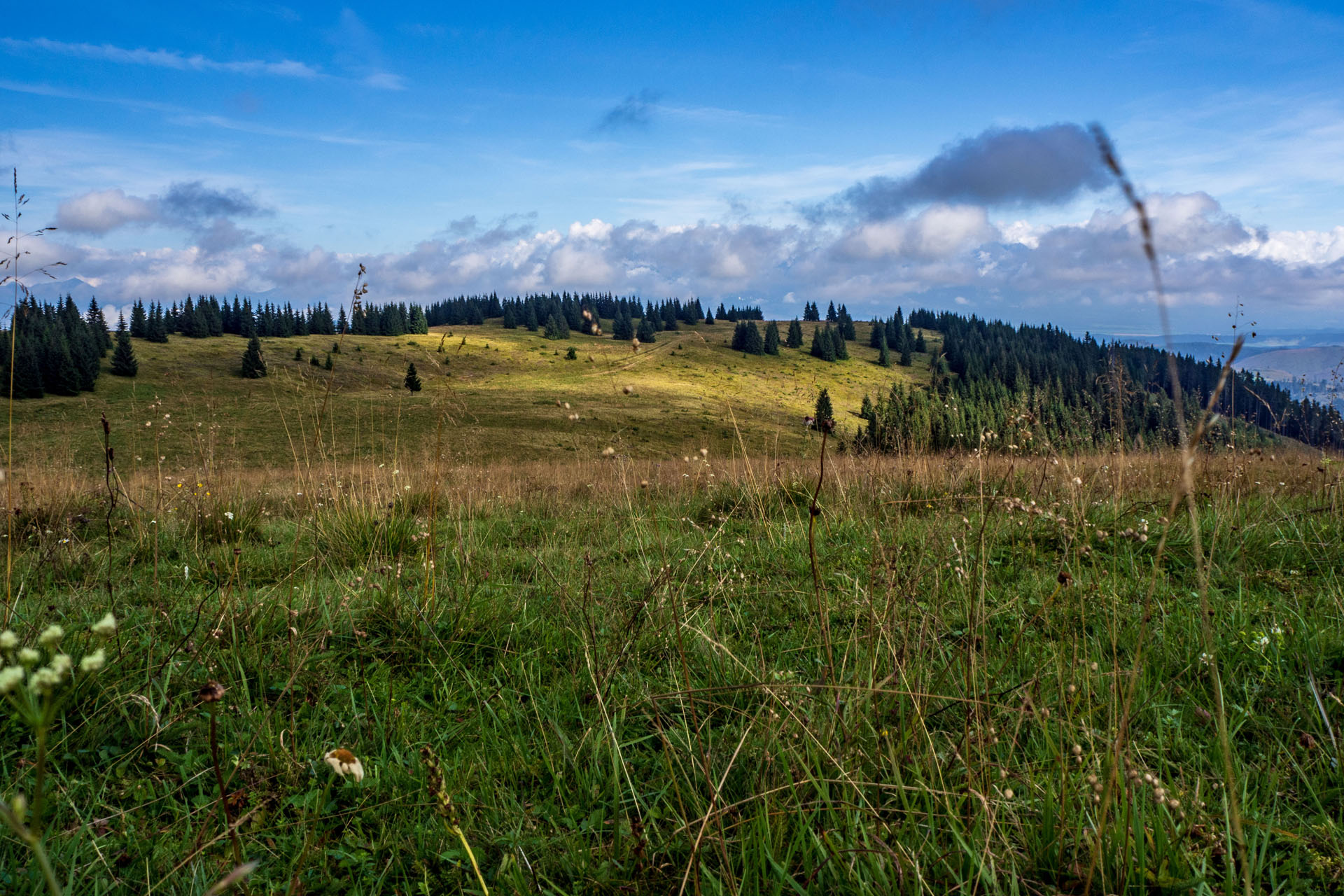 Čučoriedkový deň a Panská hoľa z Pred Soľankou (Nízke Tatry)