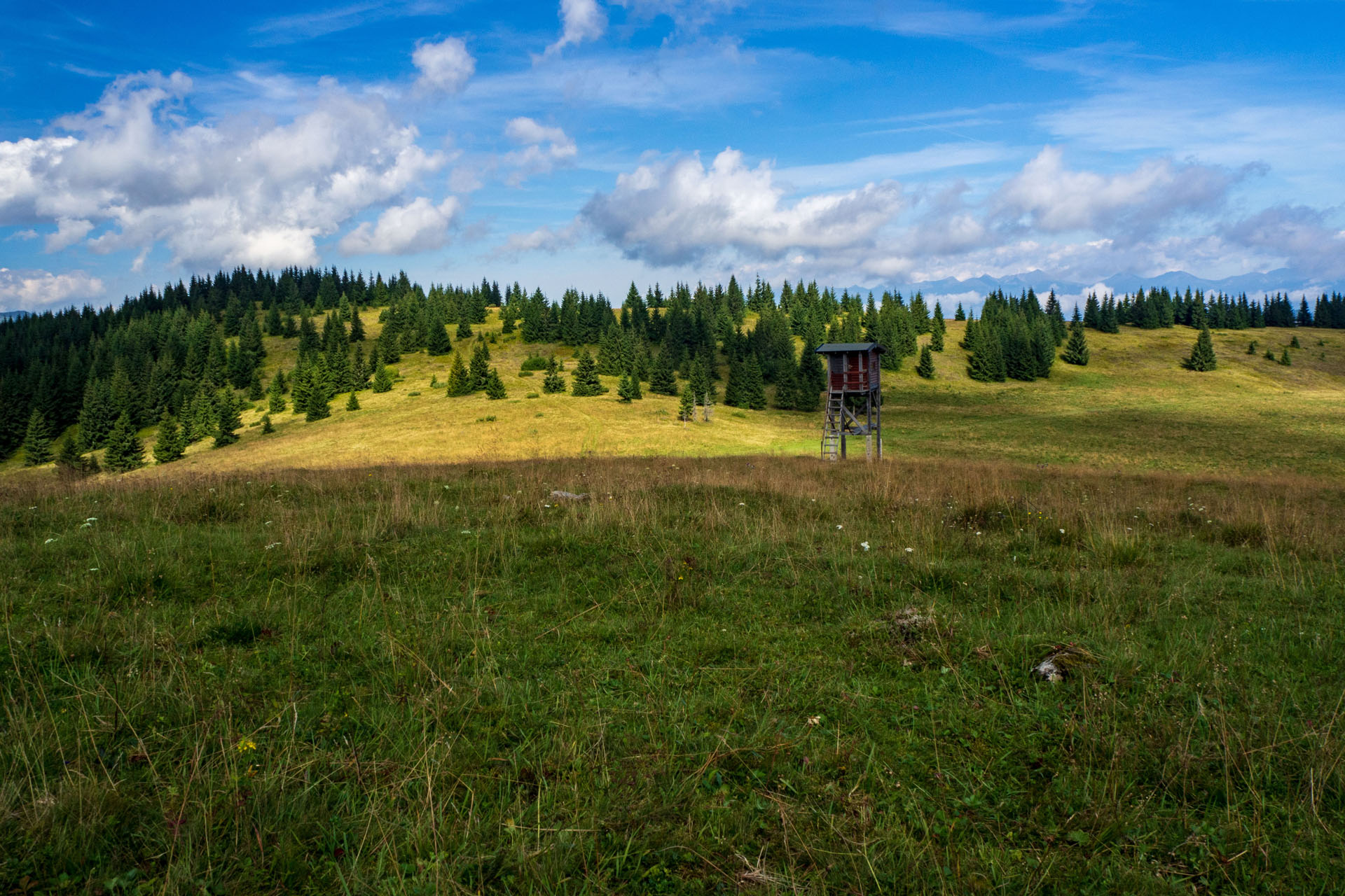 Čučoriedkový deň a Panská hoľa z Pred Soľankou (Nízke Tatry)