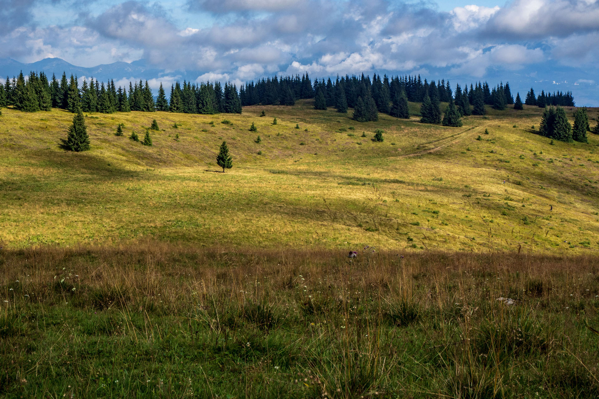 Čučoriedkový deň a Panská hoľa z Pred Soľankou (Nízke Tatry)