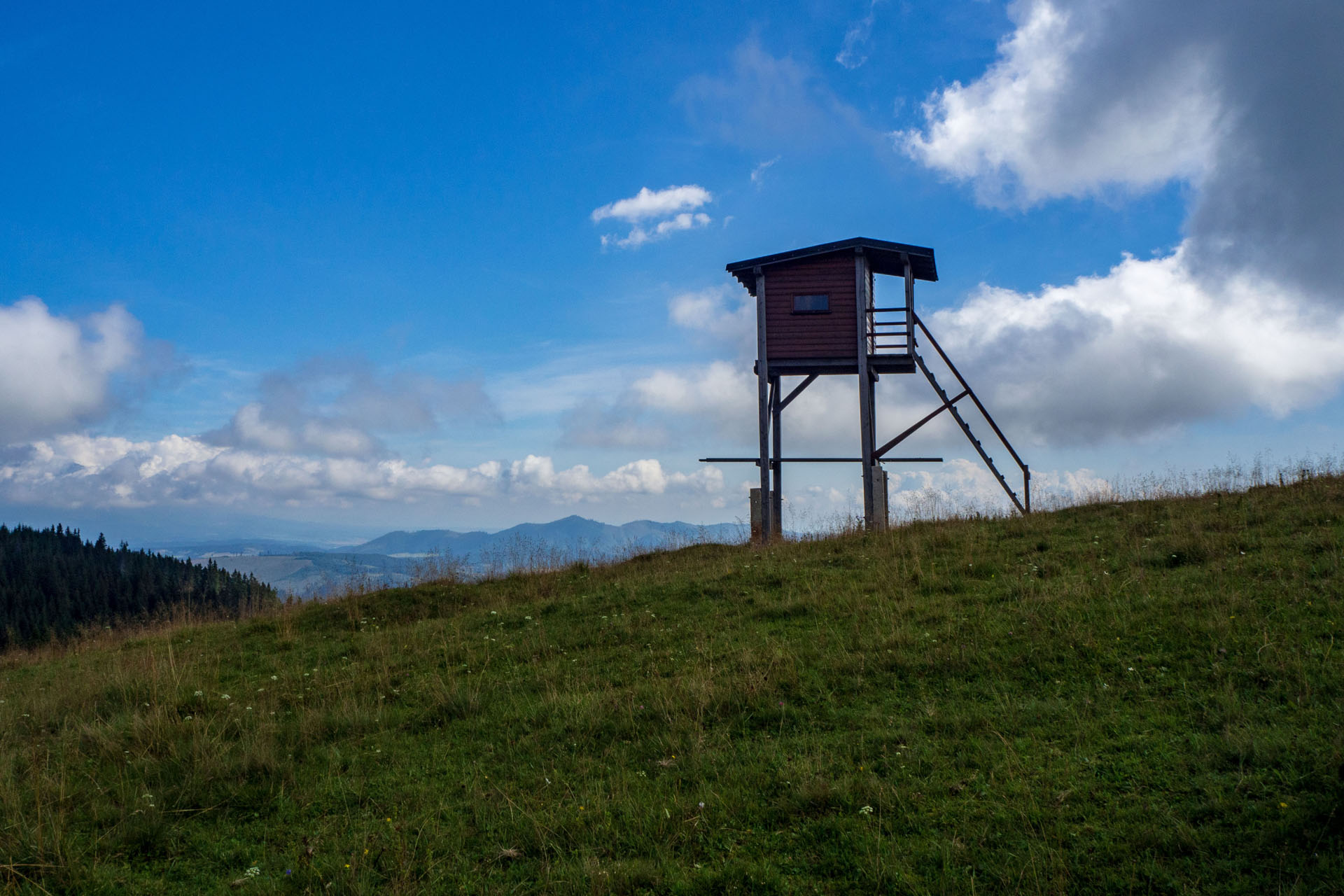 Čučoriedkový deň a Panská hoľa z Pred Soľankou (Nízke Tatry)