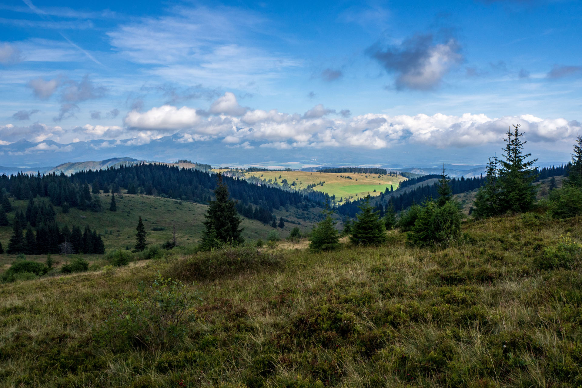 Čučoriedkový deň a Panská hoľa z Pred Soľankou (Nízke Tatry)