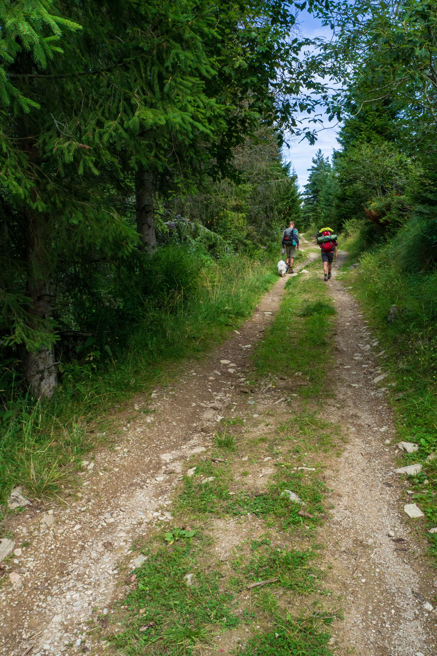 Čučoriedkový deň a Panská hoľa z Pred Soľankou (Nízke Tatry)