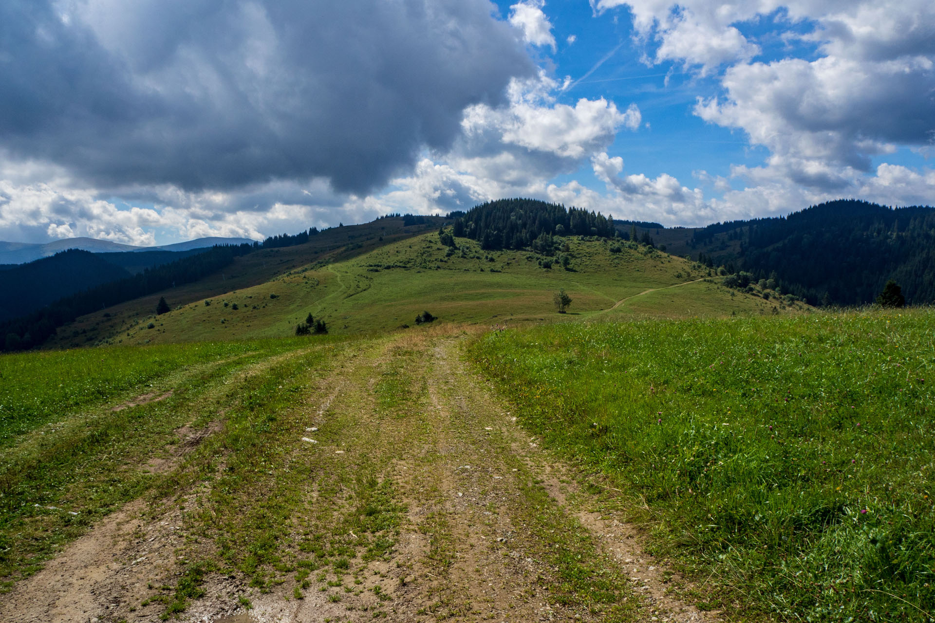 Čučoriedkový deň a Panská hoľa z Pred Soľankou (Nízke Tatry)