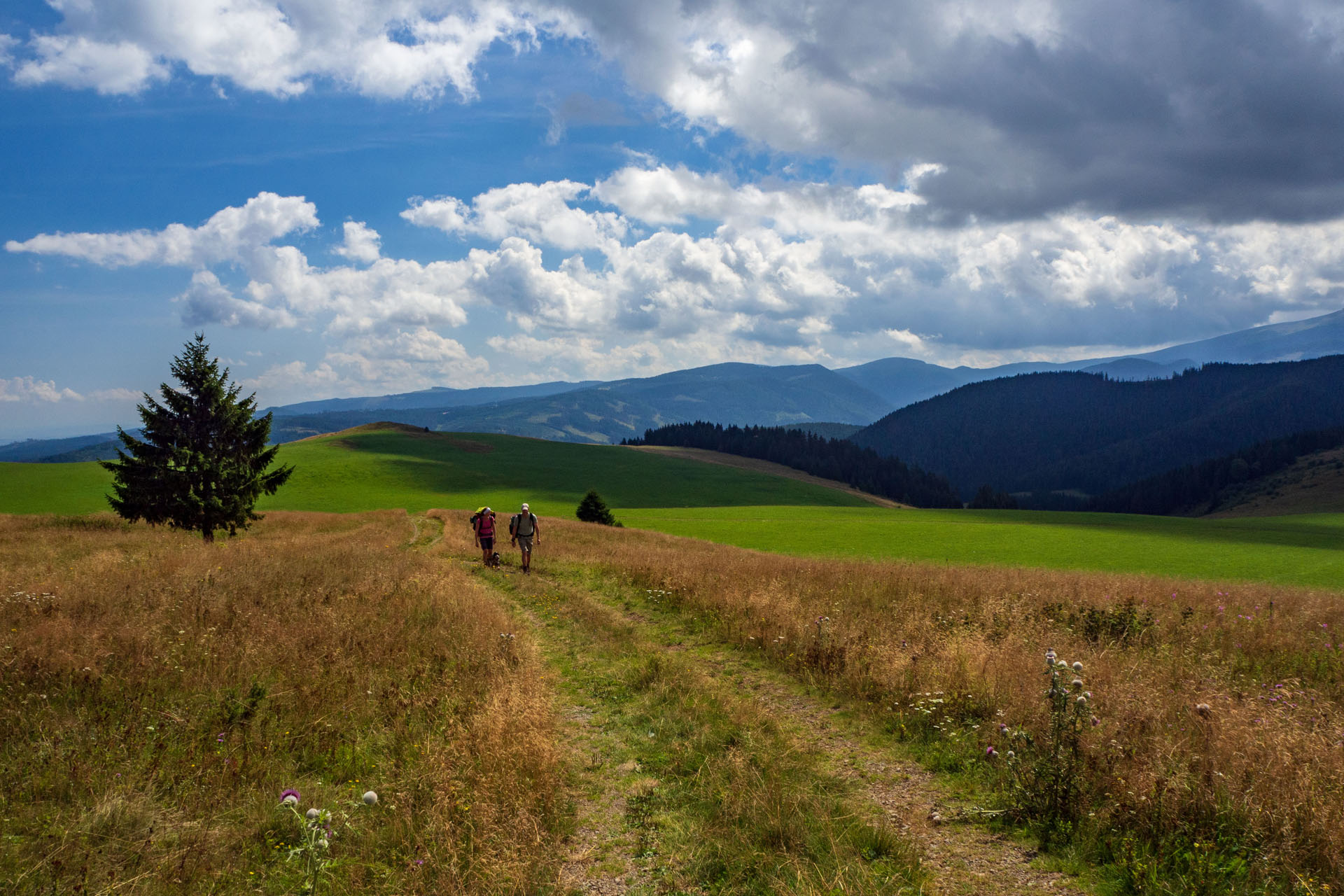 Čučoriedkový deň a Panská hoľa z Pred Soľankou (Nízke Tatry)