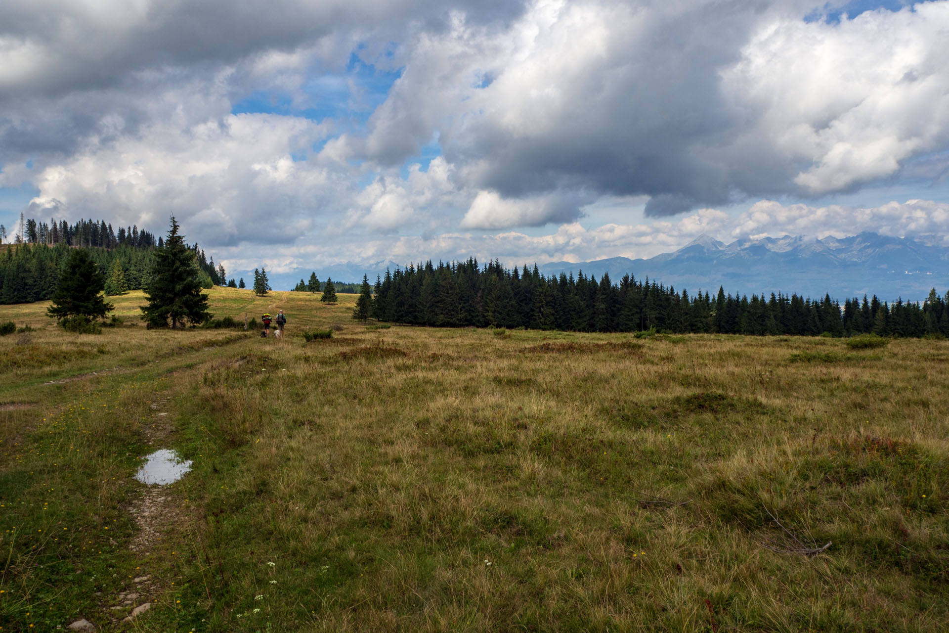 Čučoriedkový deň a Panská hoľa z Pred Soľankou (Nízke Tatry)