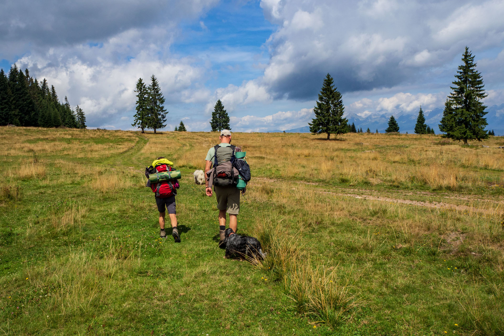 Čučoriedkový deň a Panská hoľa z Pred Soľankou (Nízke Tatry)