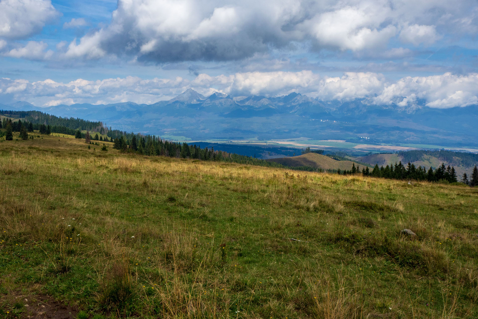 Čučoriedkový deň a Panská hoľa z Pred Soľankou (Nízke Tatry)