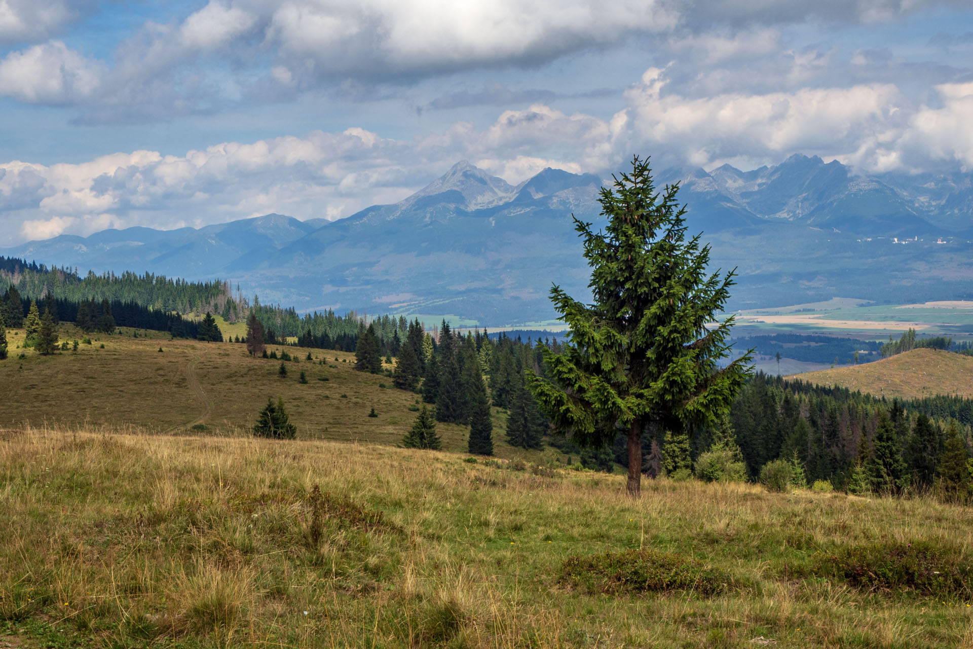 Čučoriedkový deň a Panská hoľa z Pred Soľankou (Nízke Tatry)