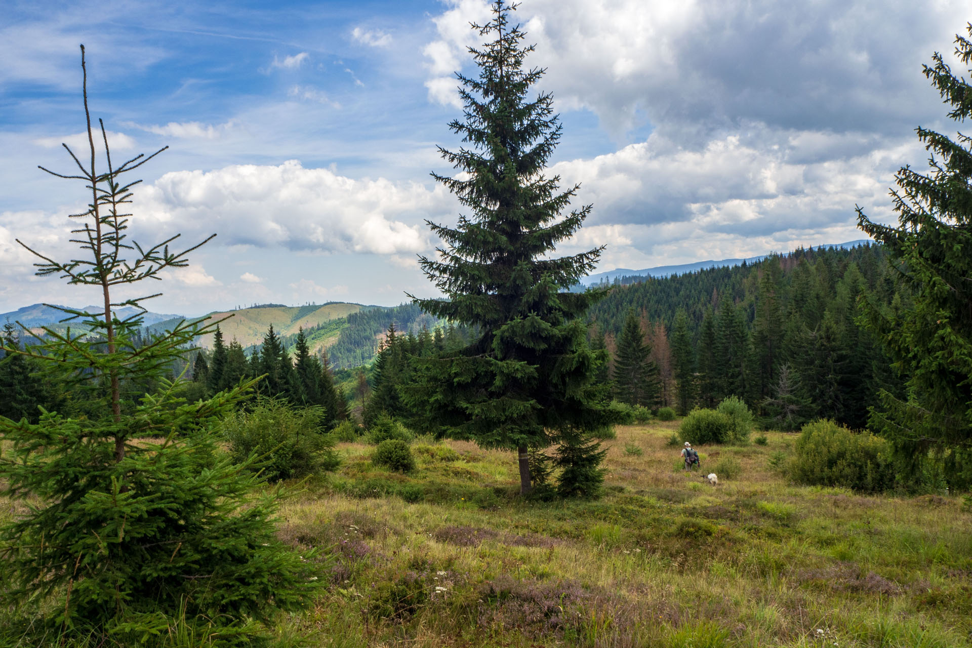 Čučoriedkový deň a Panská hoľa z Pred Soľankou (Nízke Tatry)