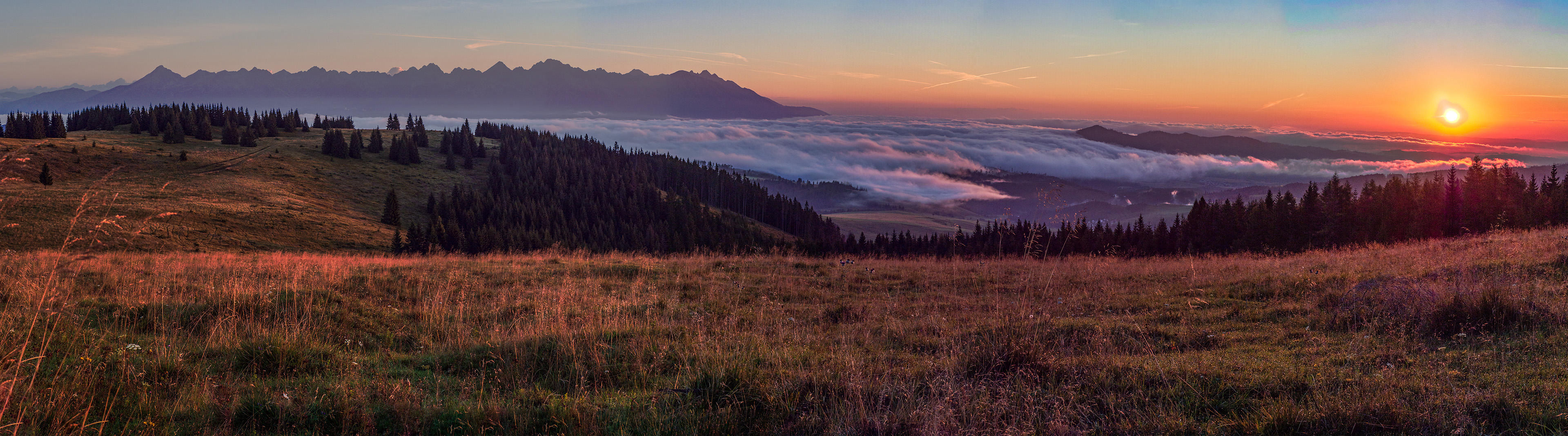 Čučoriedkový deň a Panská hoľa z Pred Soľankou (Nízke Tatry)