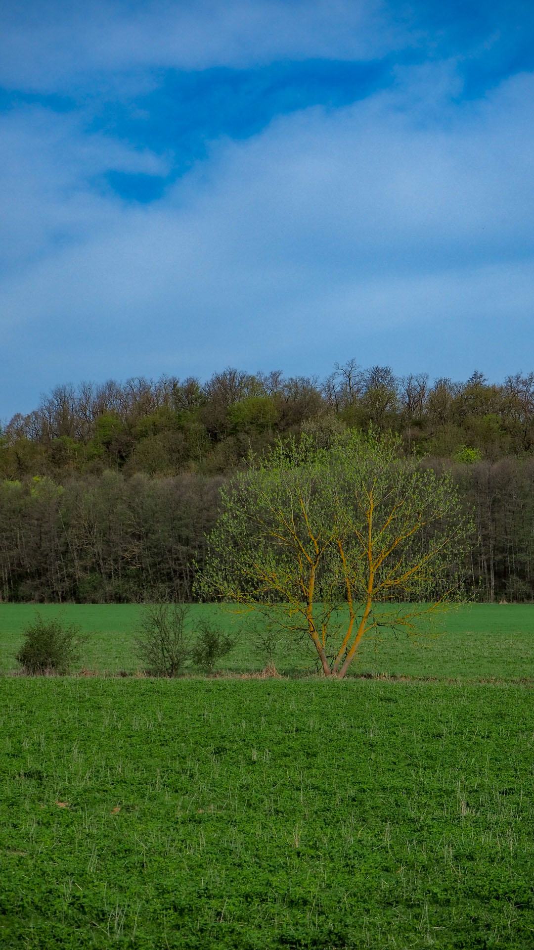 Derenk (Drienky) a hrad Szádvár (Aggteleki-karszt)