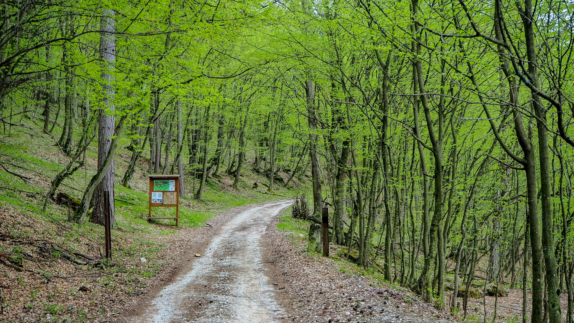 Derenk (Drienky) a hrad Szádvár (Aggteleki-karszt)