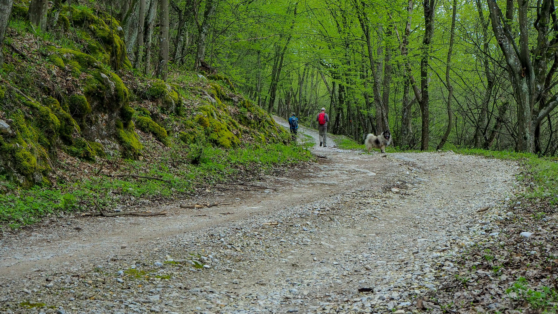 Derenk (Drienky) a hrad Szádvár (Aggteleki-karszt)