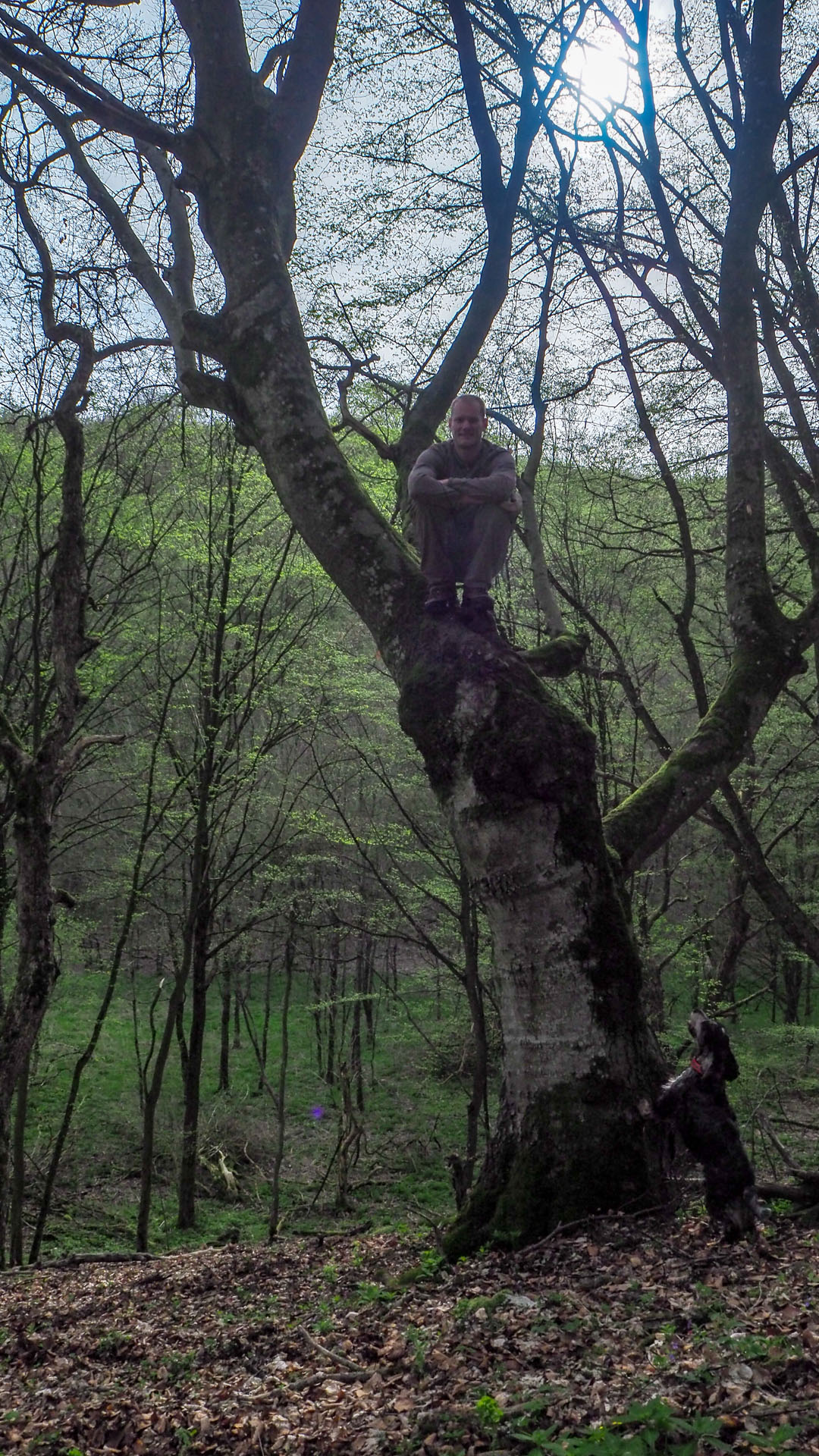 Derenk (Drienky) a hrad Szádvár (Aggteleki-karszt)