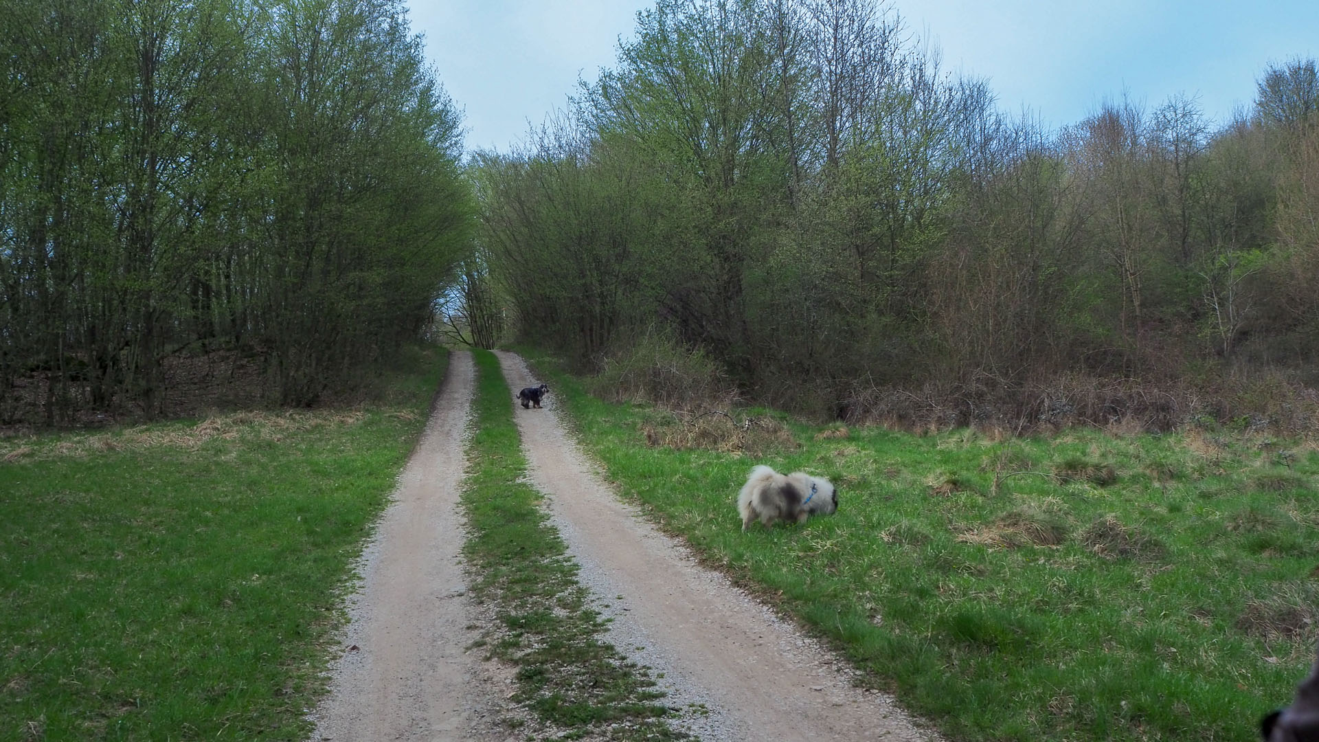 Derenk (Drienky) a hrad Szádvár (Aggteleki-karszt)