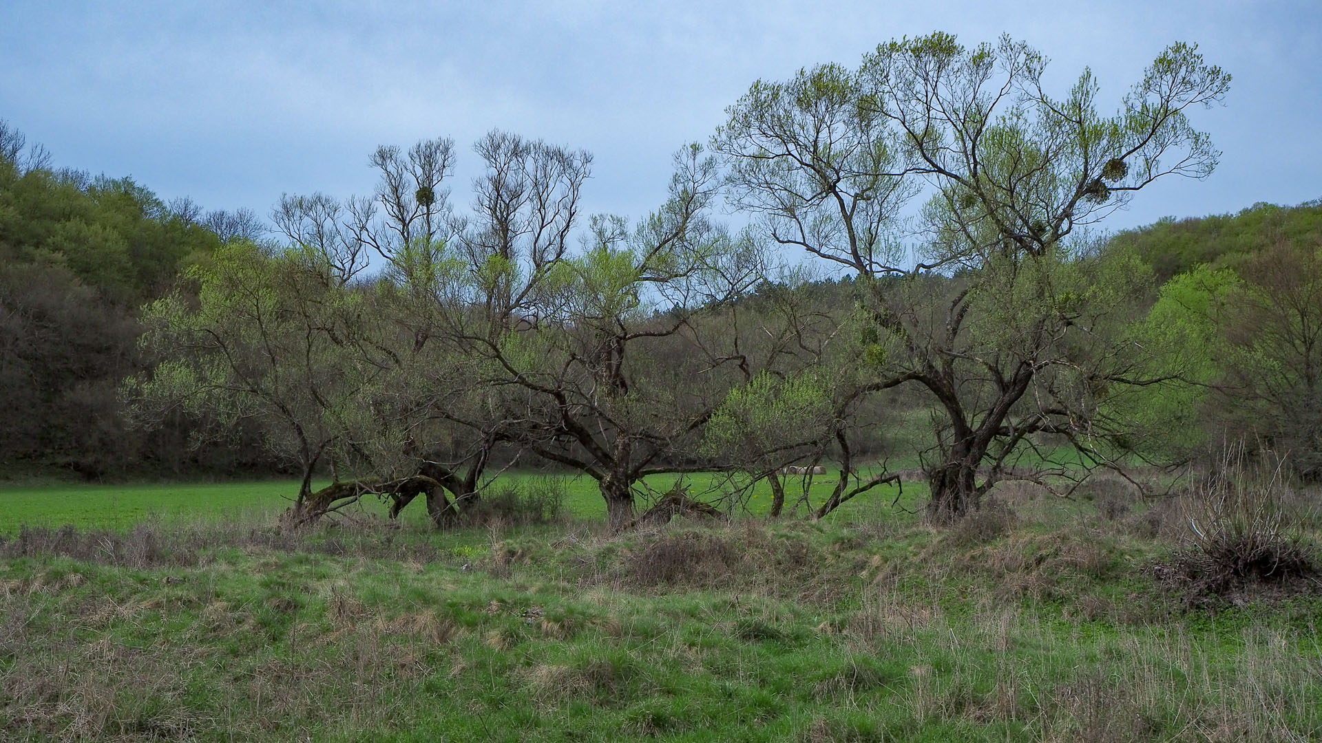 Derenk (Drienky) a hrad Szádvár (Aggteleki-karszt)