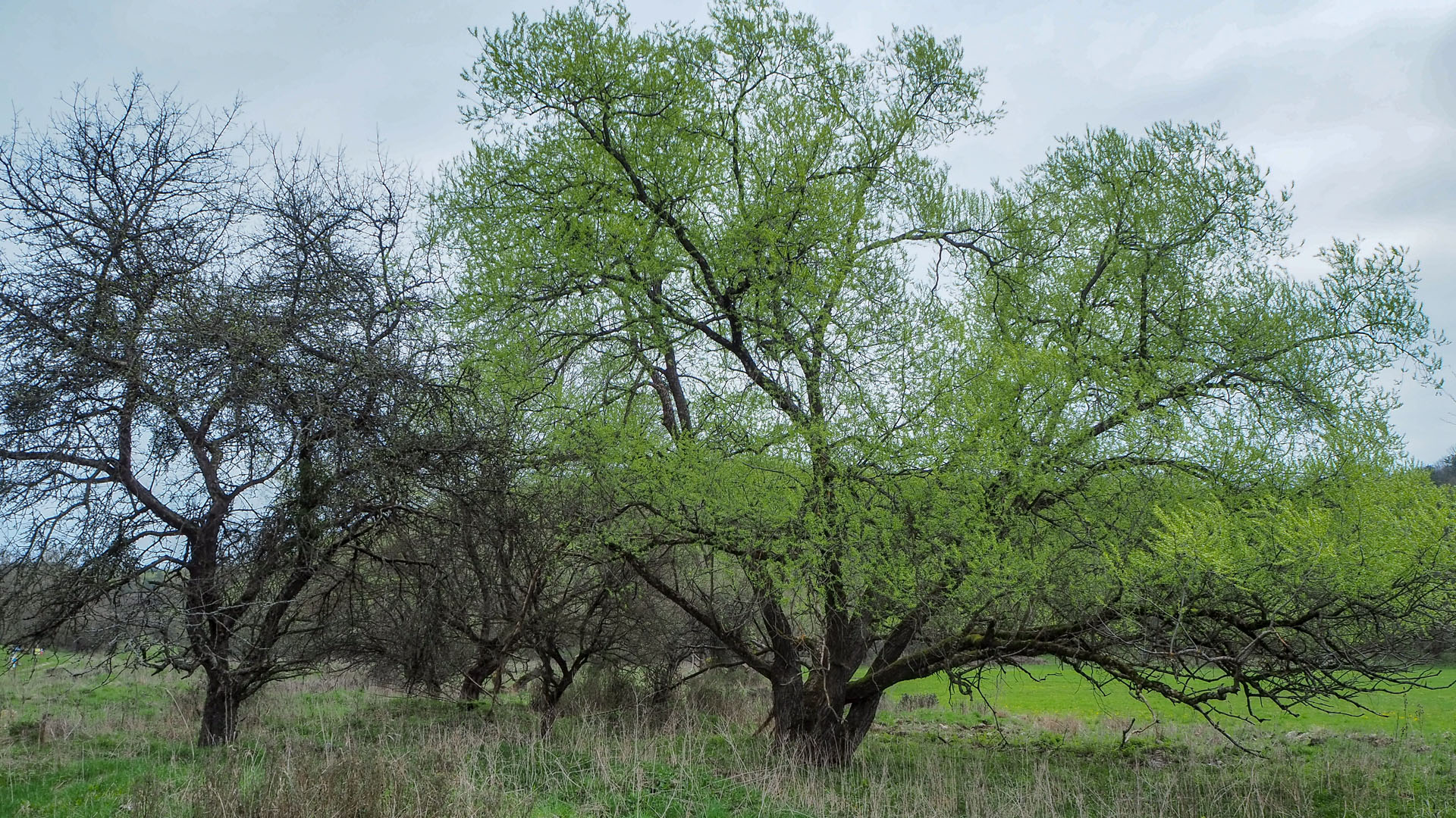 Derenk (Drienky) a hrad Szádvár (Aggteleki-karszt)