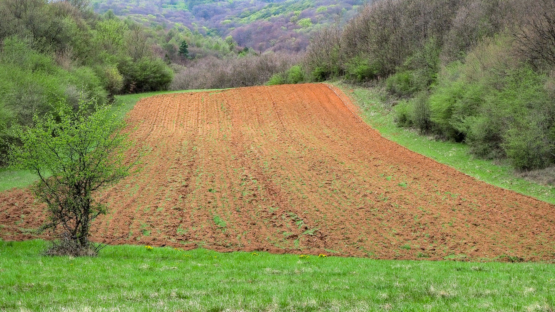 Derenk (Drienky) a hrad Szádvár (Aggteleki-karszt)