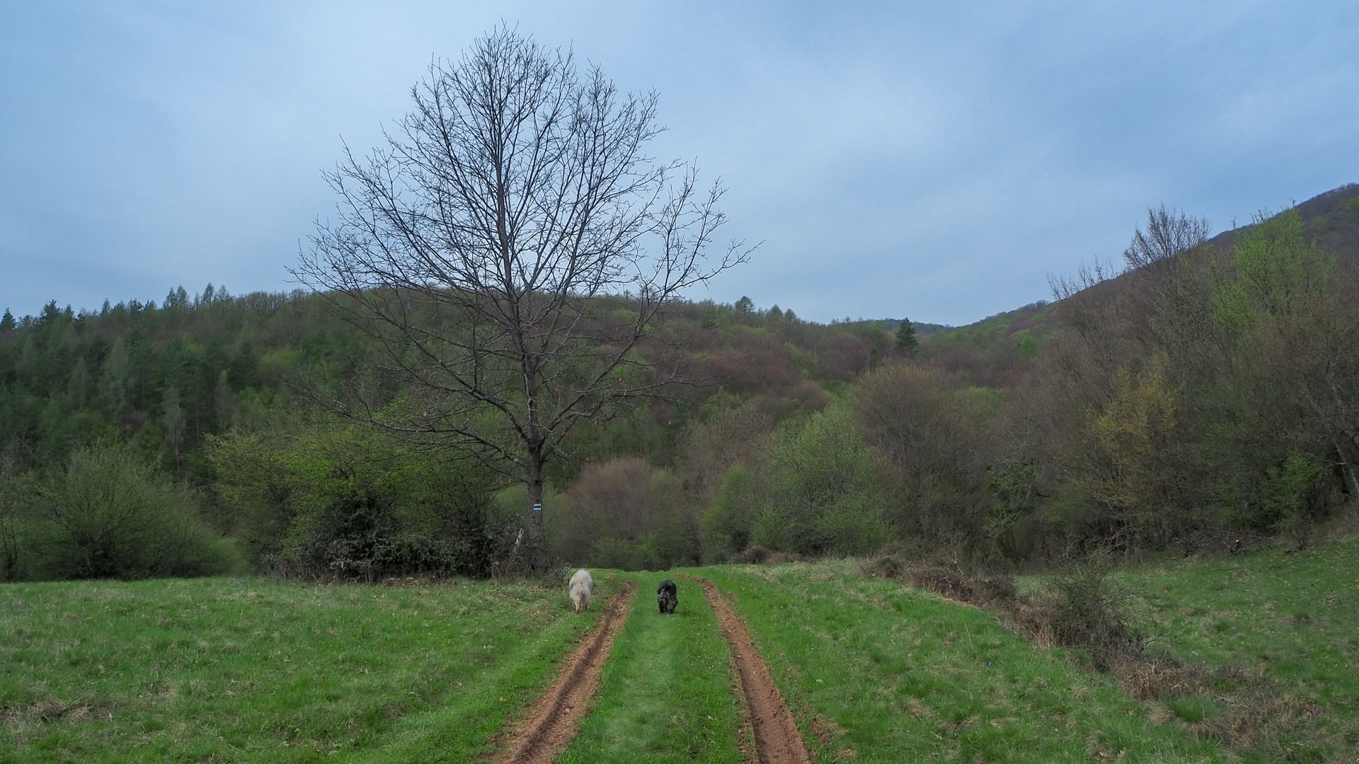 Derenk (Drienky) a hrad Szádvár (Aggteleki-karszt)