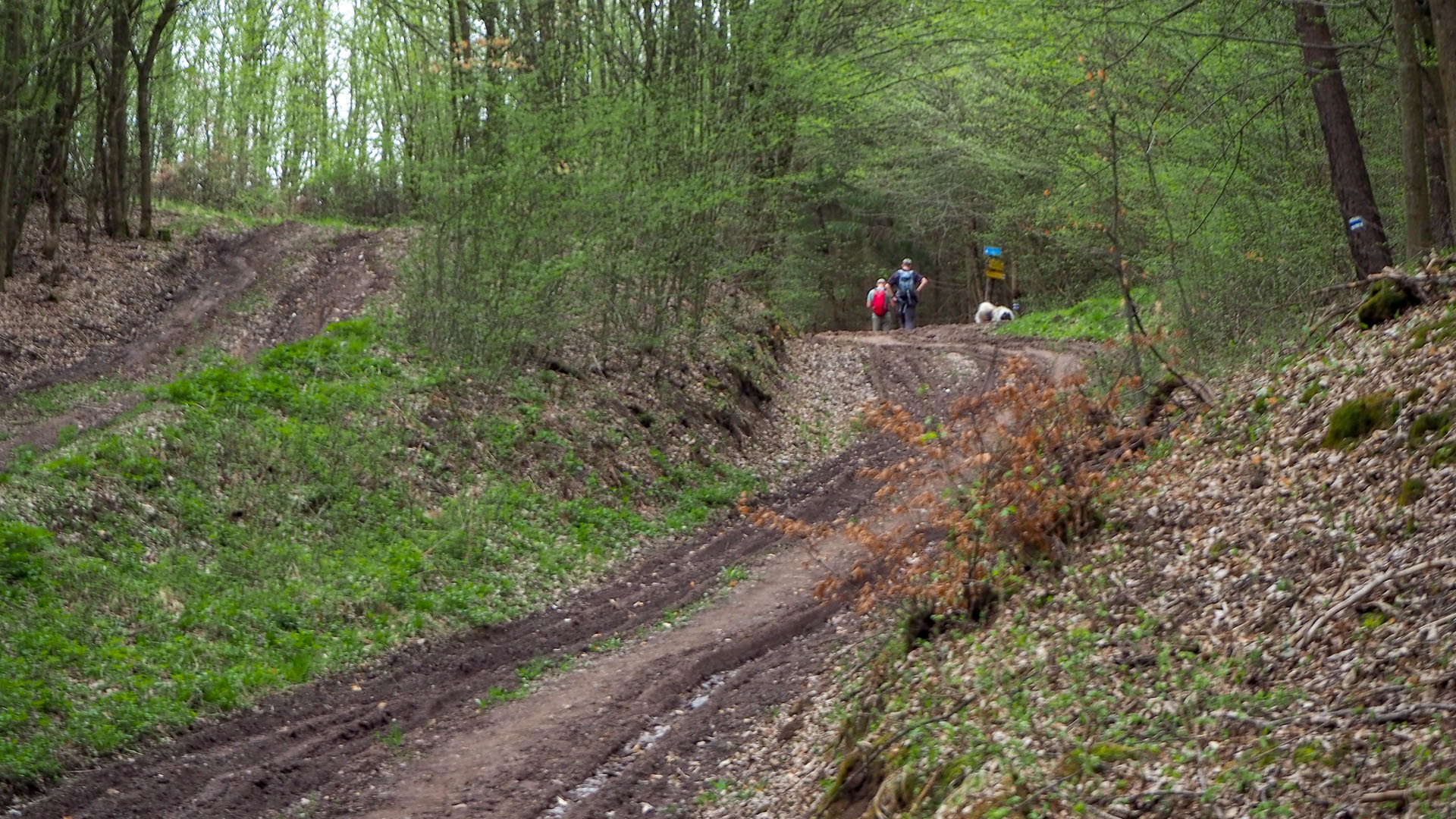 Derenk (Drienky) a hrad Szádvár (Aggteleki-karszt)