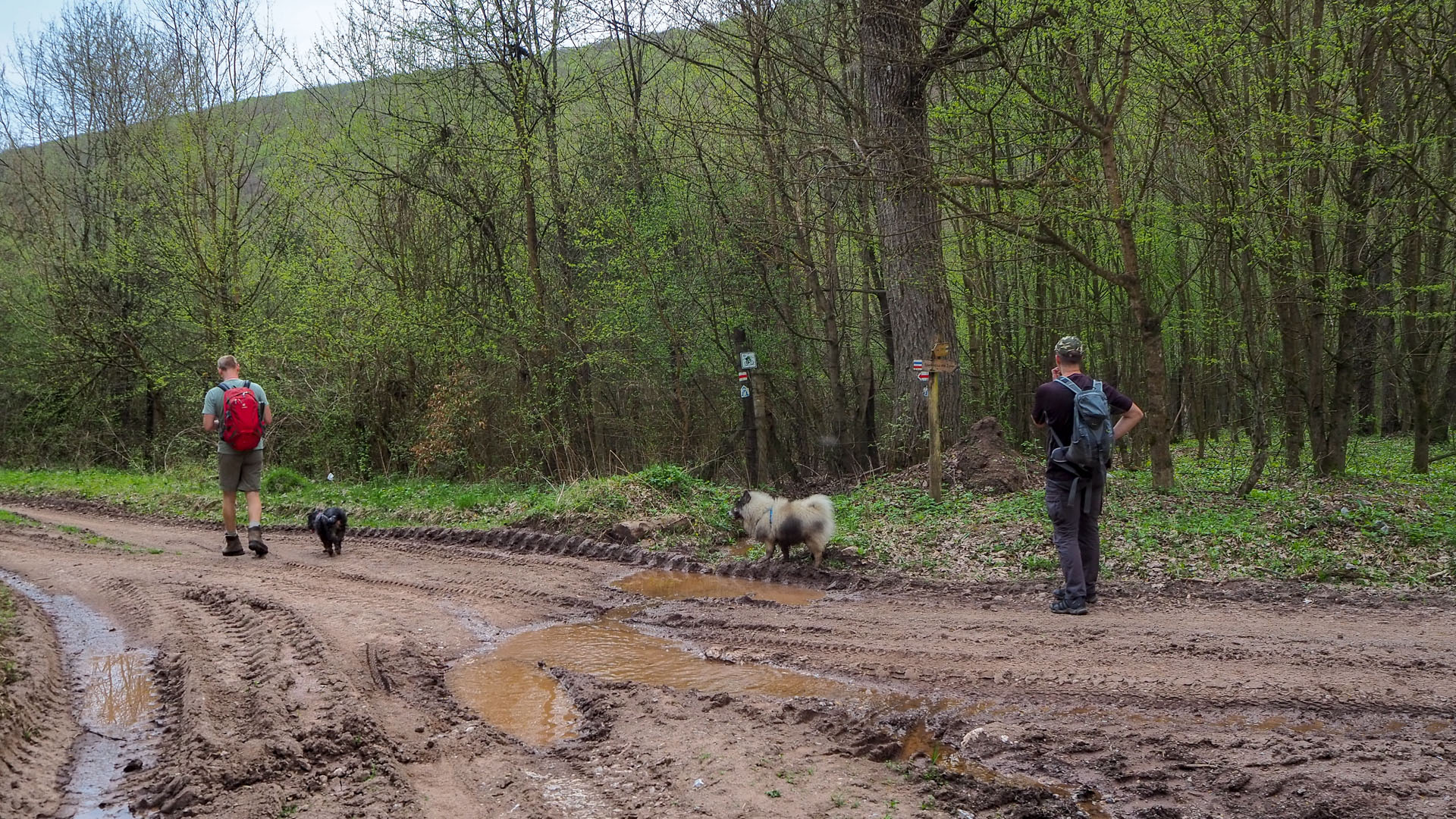 Derenk (Drienky) a hrad Szádvár (Aggteleki-karszt)