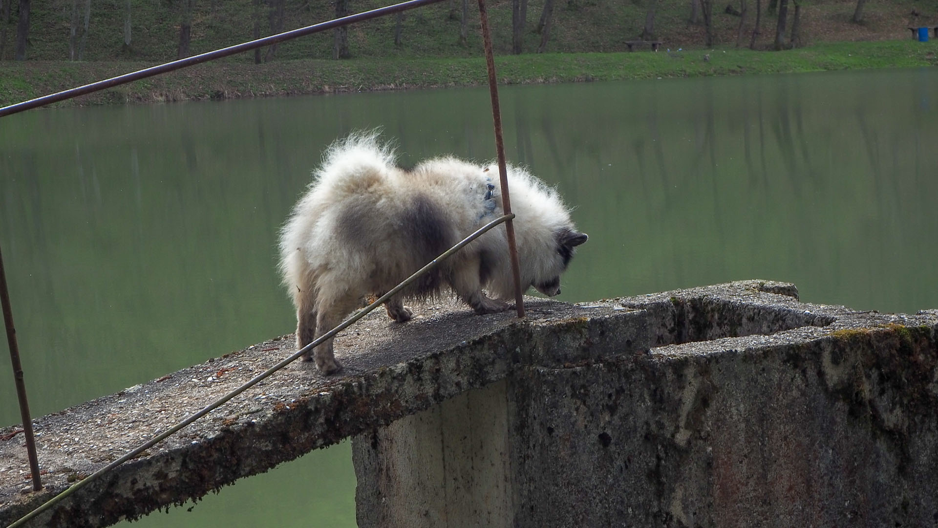 Derenk (Drienky) a hrad Szádvár (Aggteleki-karszt)