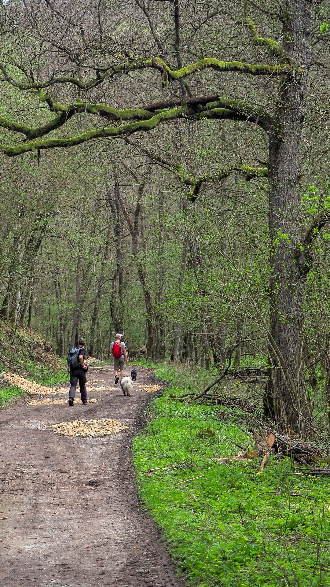 Derenk (Drienky) a hrad Szádvár (Aggteleki-karszt)