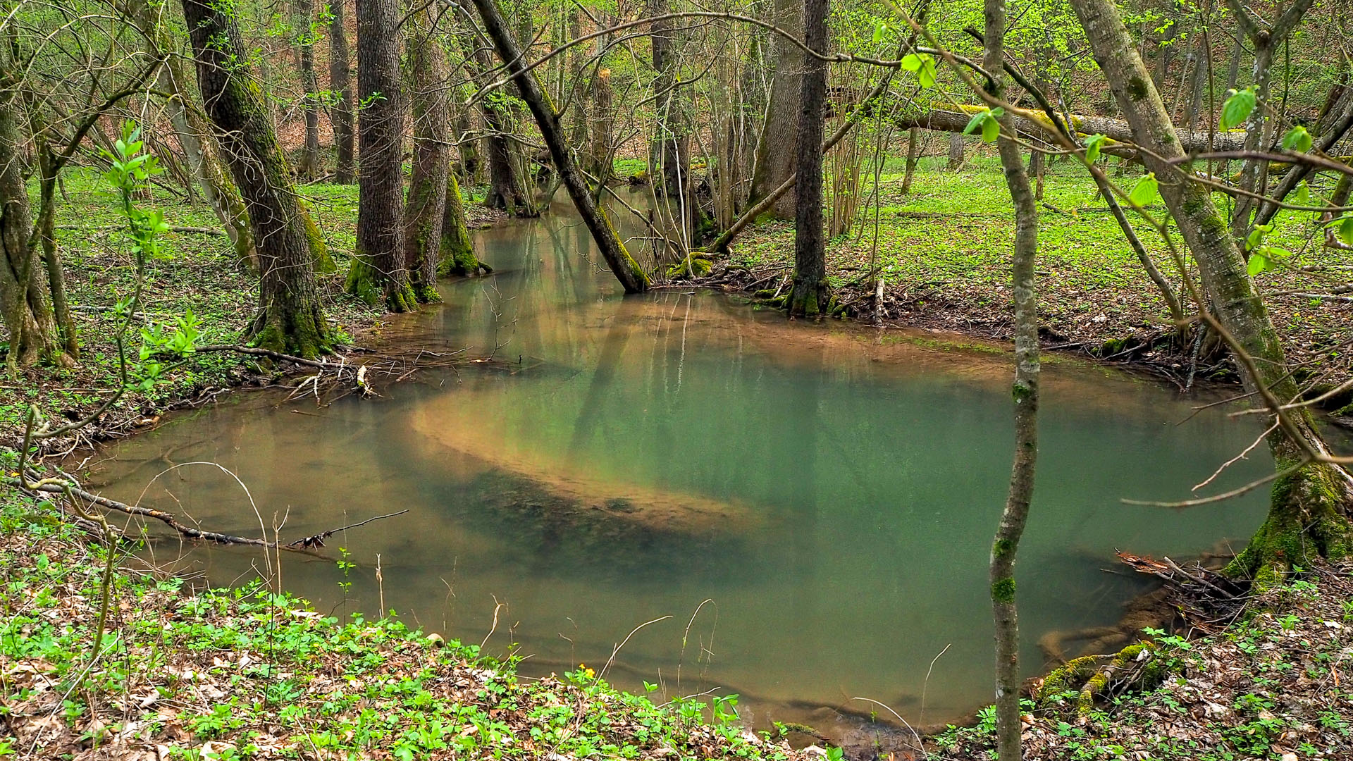 Derenk (Drienky) a hrad Szádvár (Aggteleki-karszt)