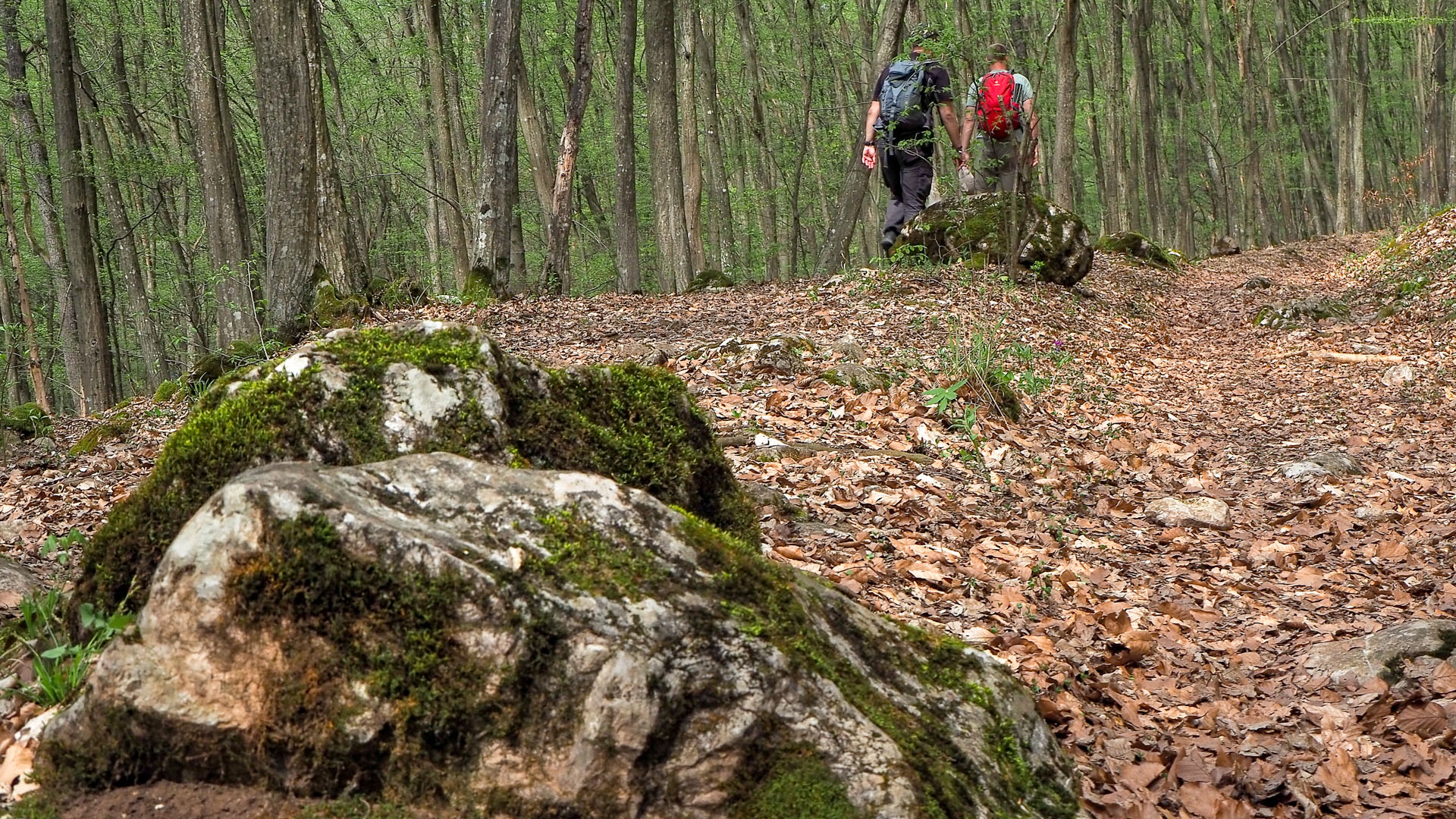 Derenk (Drienky) a hrad Szádvár (Aggteleki-karszt)