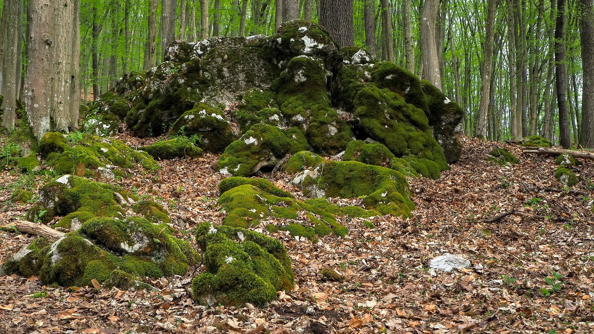 Derenk (Drienky) a hrad Szádvár (Aggteleki-karszt)