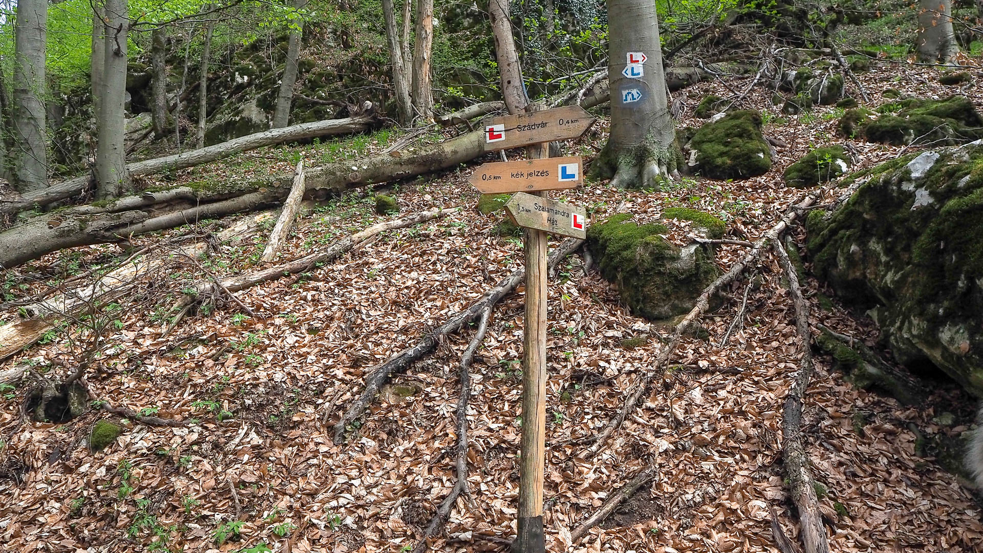 Derenk (Drienky) a hrad Szádvár (Aggteleki-karszt)