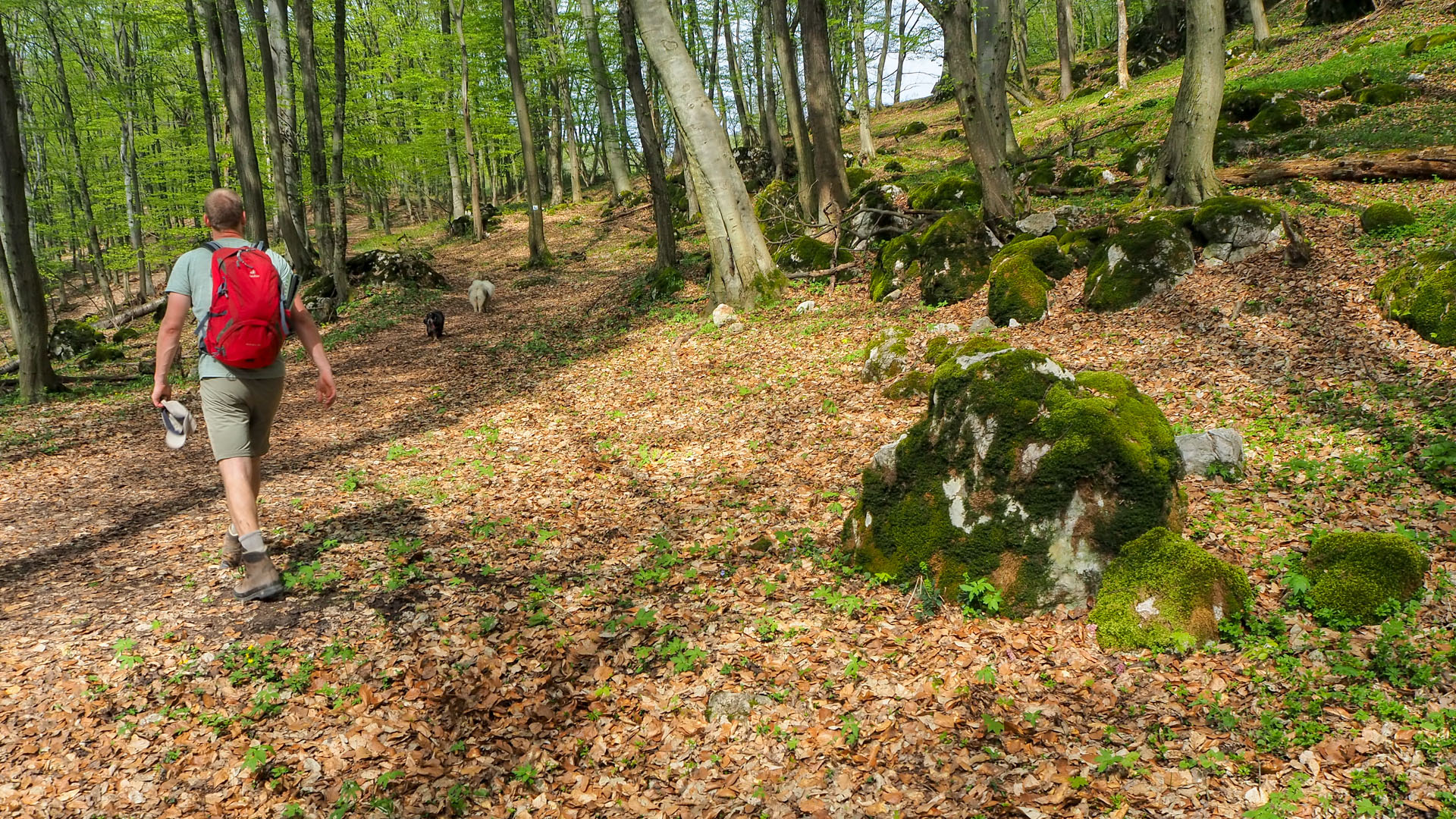 Derenk (Drienky) a hrad Szádvár (Aggteleki-karszt)