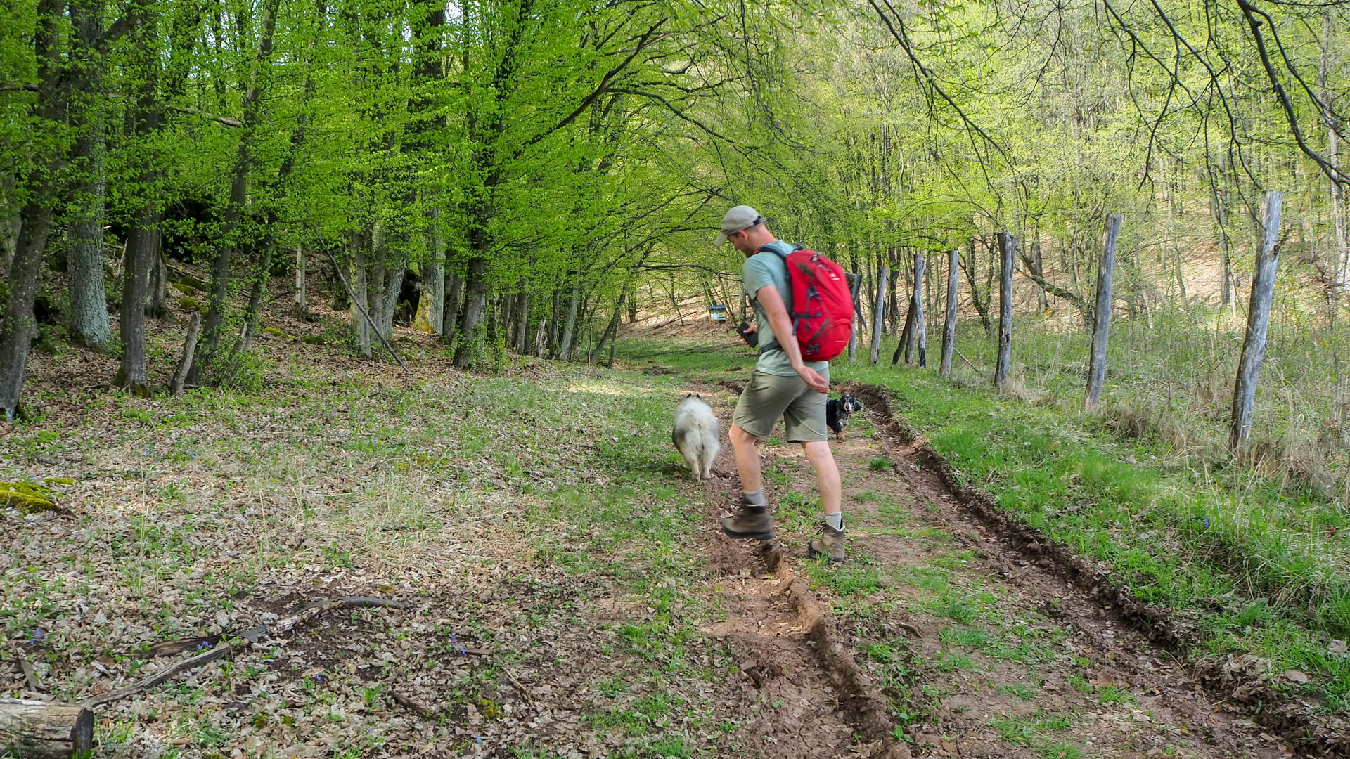 Derenk (Drienky) a hrad Szádvár (Aggteleki-karszt)