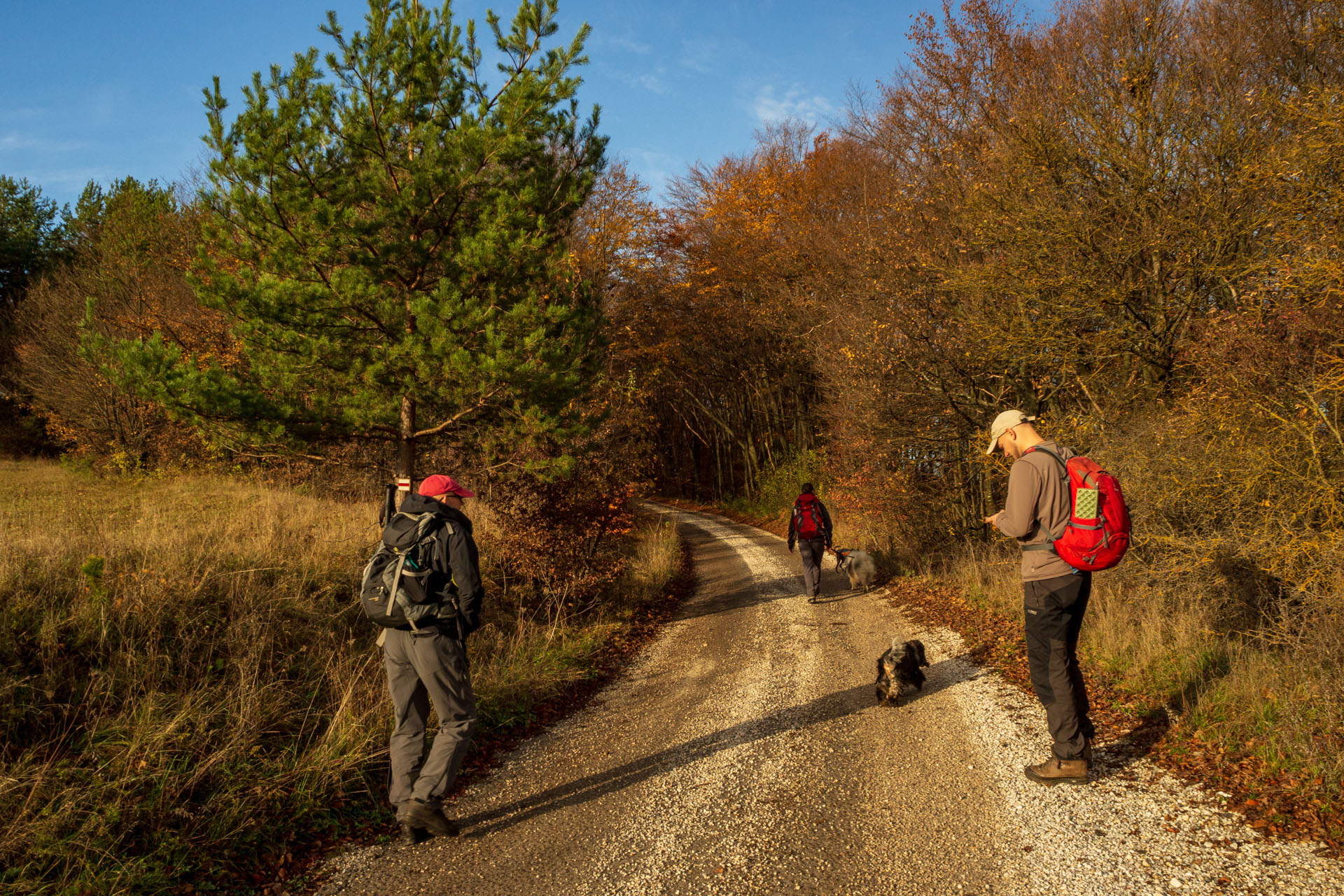 Dievčenská skala z Jablonovského sedla (Slovenský kras)