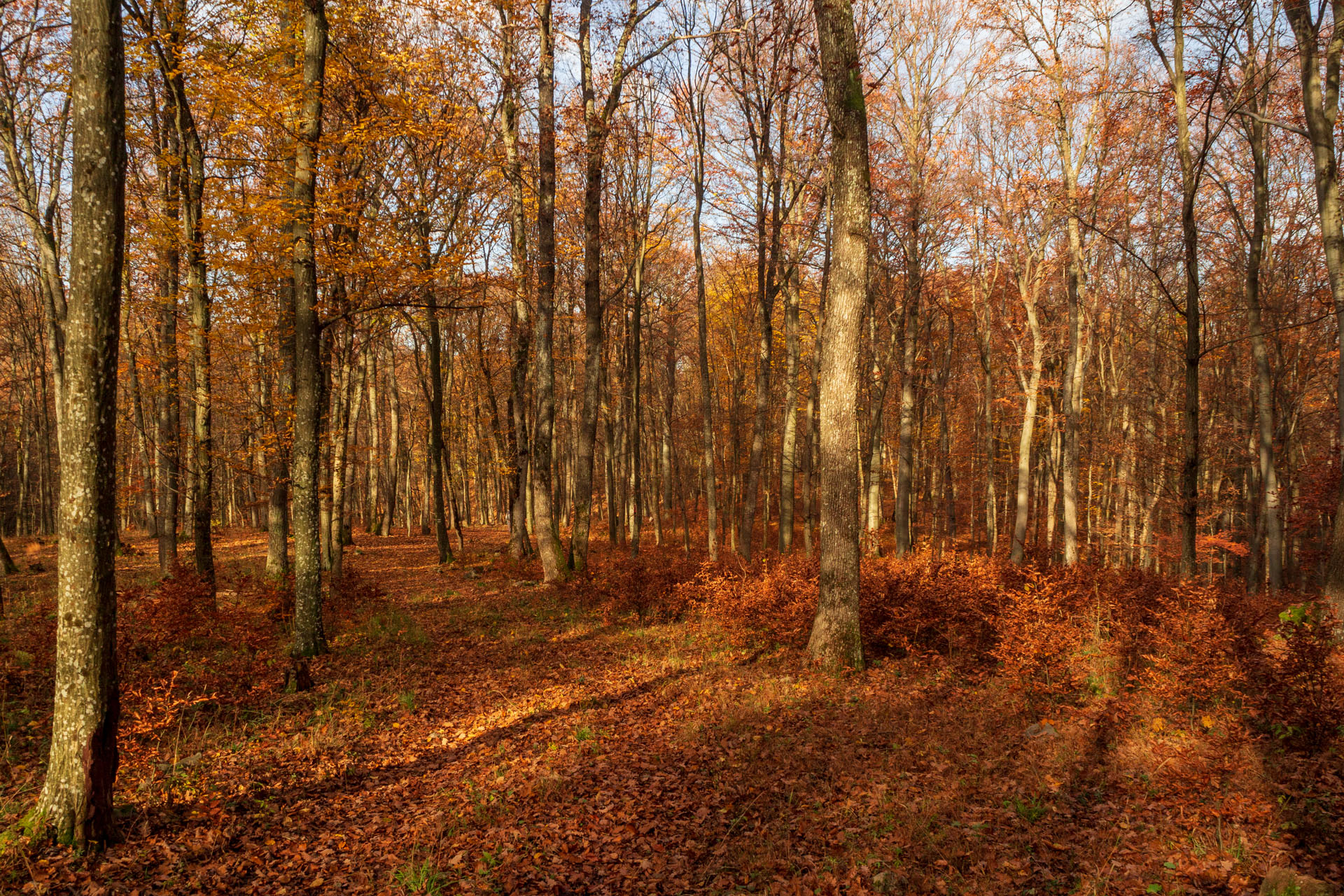 Dievčenská skala z Jablonovského sedla (Slovenský kras)