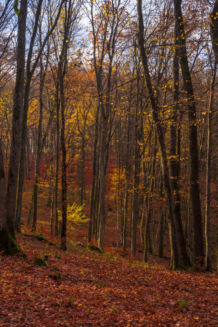 Dievčenská skala z Jablonovského sedla (Slovenský kras)