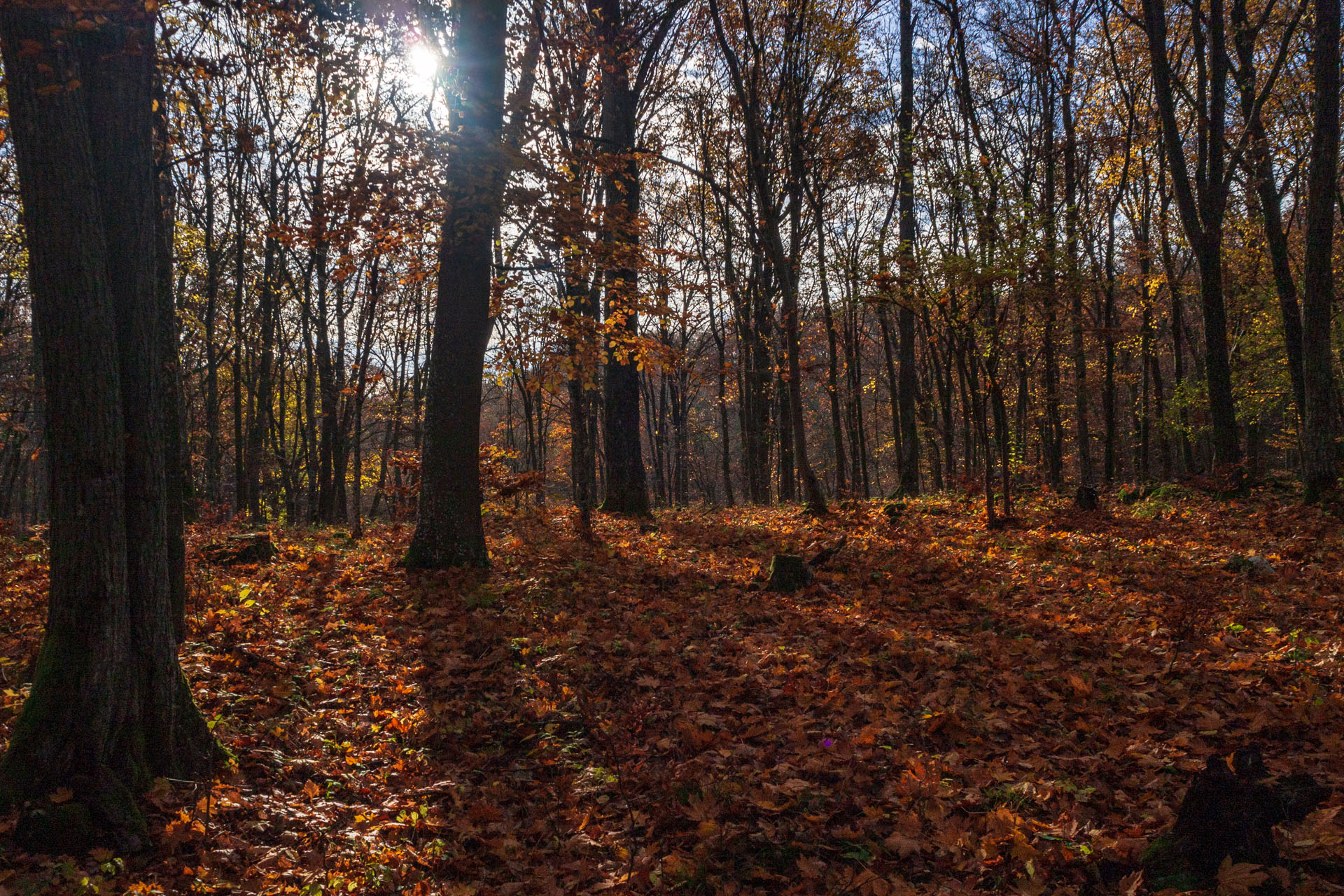 Dievčenská skala z Jablonovského sedla (Slovenský kras)