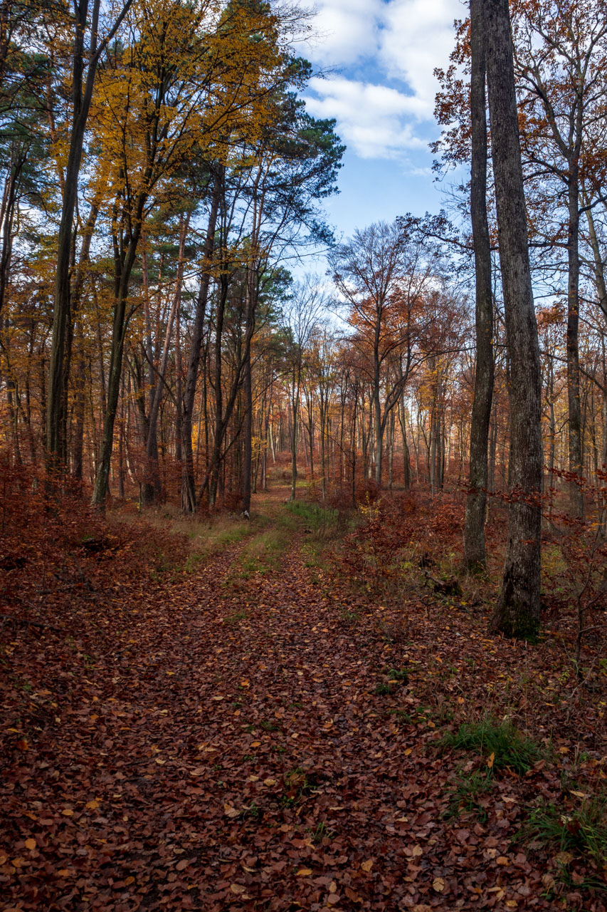 Dievčenská skala z Jablonovského sedla (Slovenský kras)