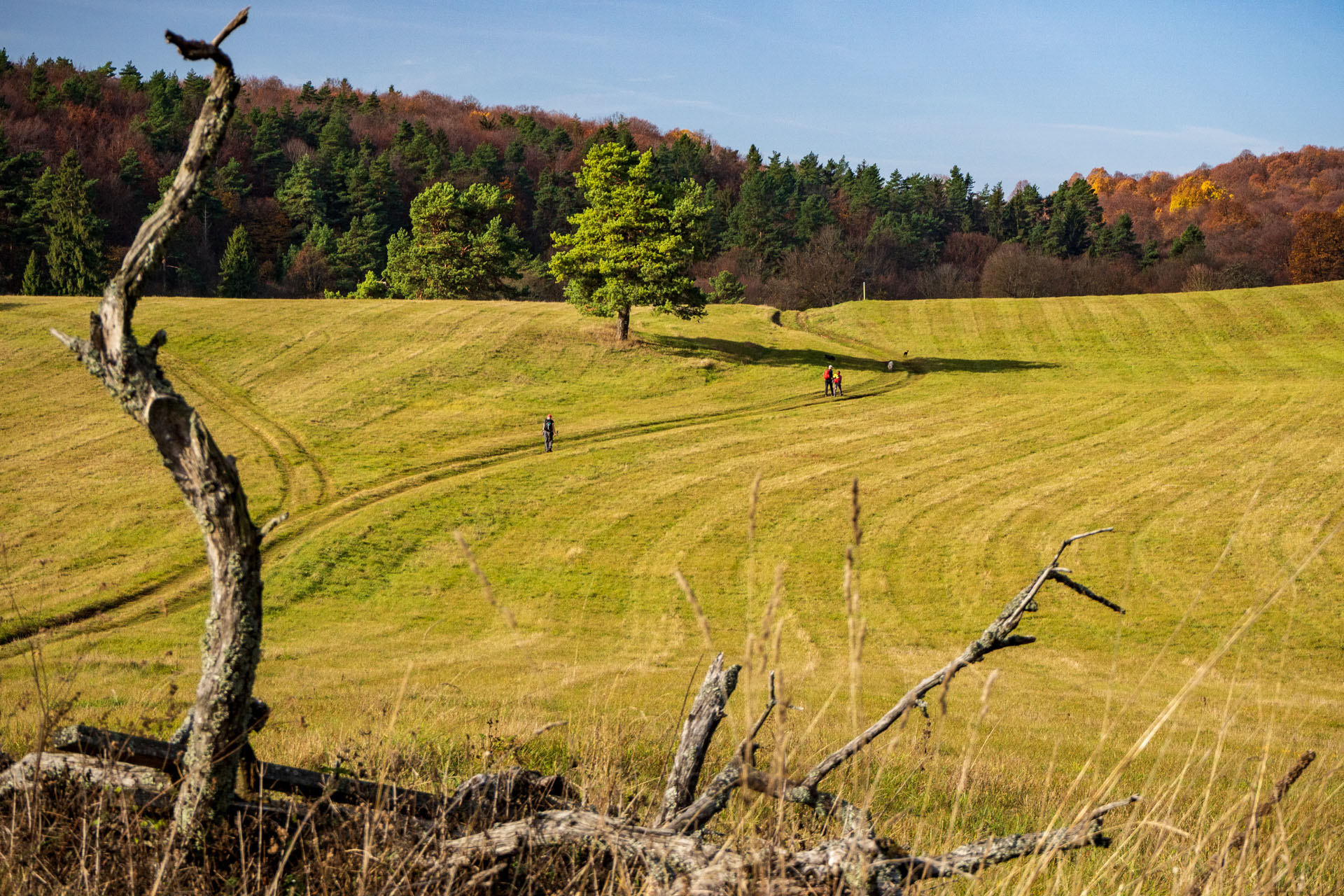 Dievčenská skala z Jablonovského sedla (Slovenský kras)